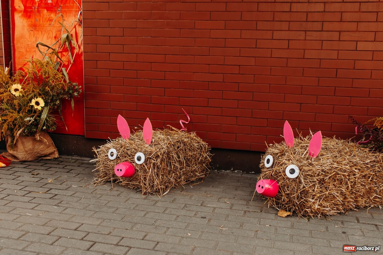 Zdjęcie w galerii na portalu naszraciborz.pl: Po trzech latach dożynki wróciły do Raciborza. Markowice gospodarzem [FOTO i WIDEO] wiadomości z regionu