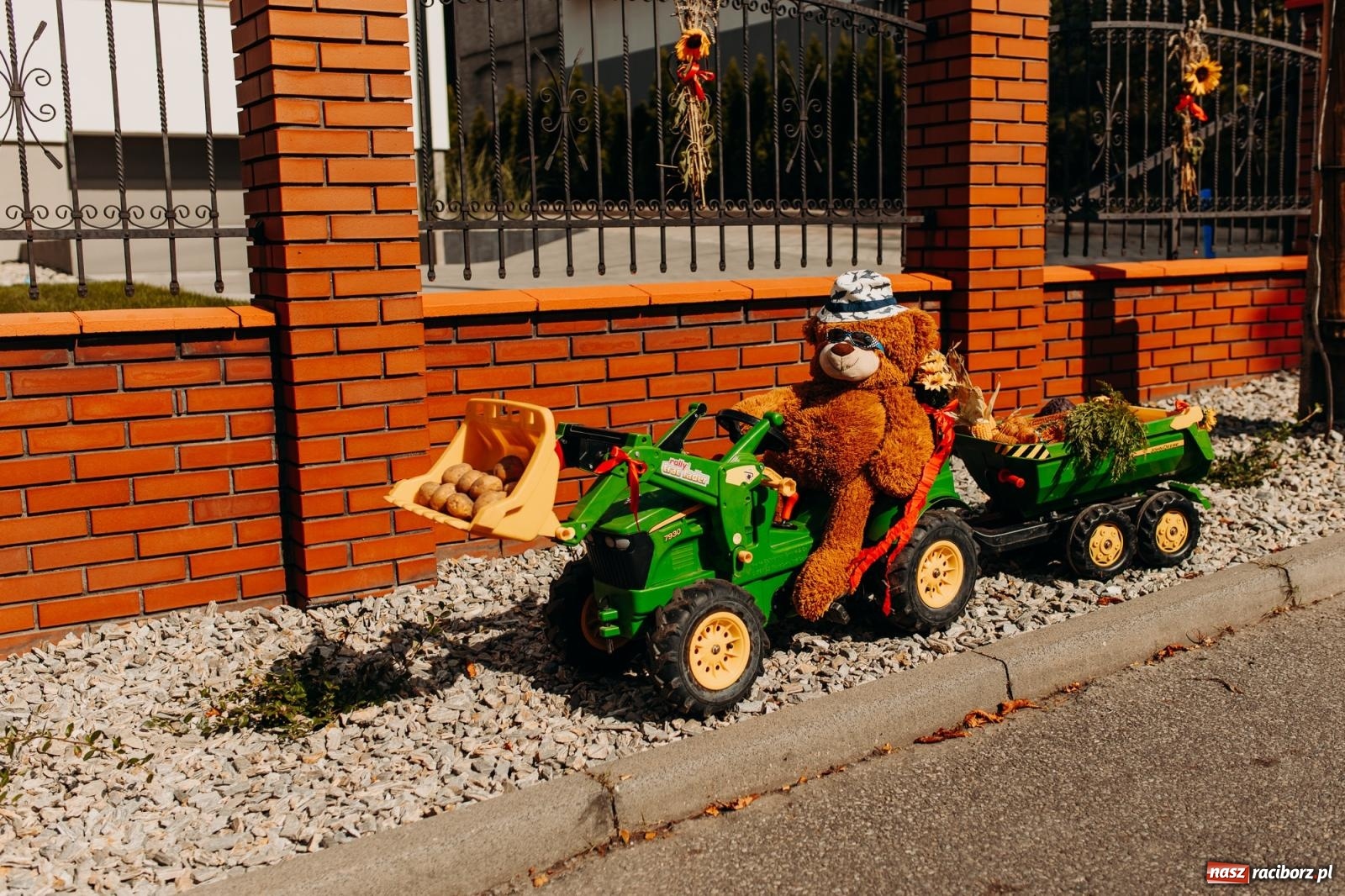 Zdjęcie w galerii na portalu naszraciborz.pl: Po trzech latach dożynki wróciły do Raciborza. Markowice gospodarzem [FOTO i WIDEO] wiadomości z regionu