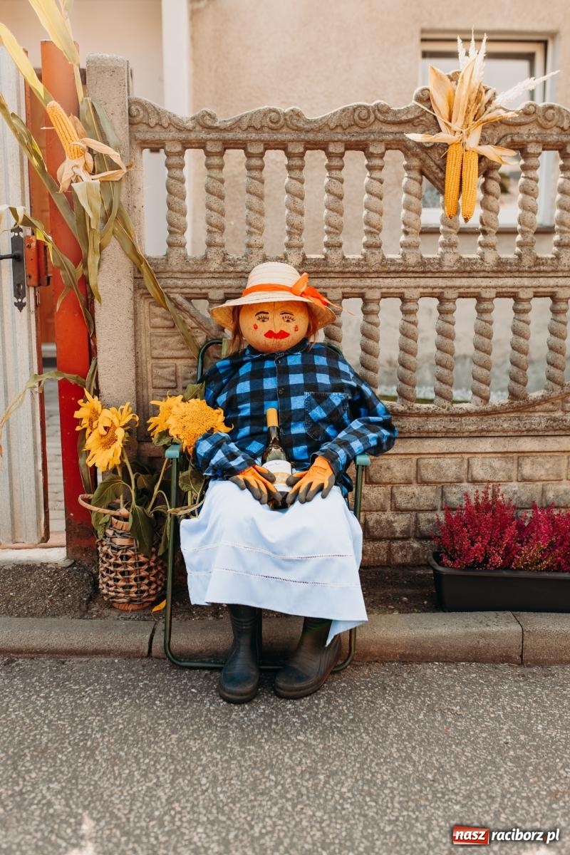 Zdjęcie w galerii na portalu naszraciborz.pl: Po trzech latach dożynki wróciły do Raciborza. Markowice gospodarzem [FOTO i WIDEO] wiadomości z regionu