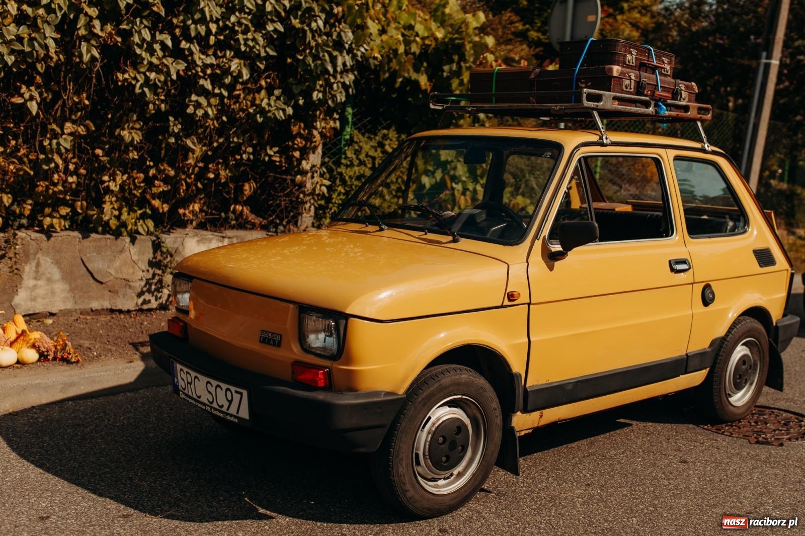Zdjęcie w galerii na portalu naszraciborz.pl: Po trzech latach dożynki wróciły do Raciborza. Markowice gospodarzem [FOTO i WIDEO] wiadomości z regionu