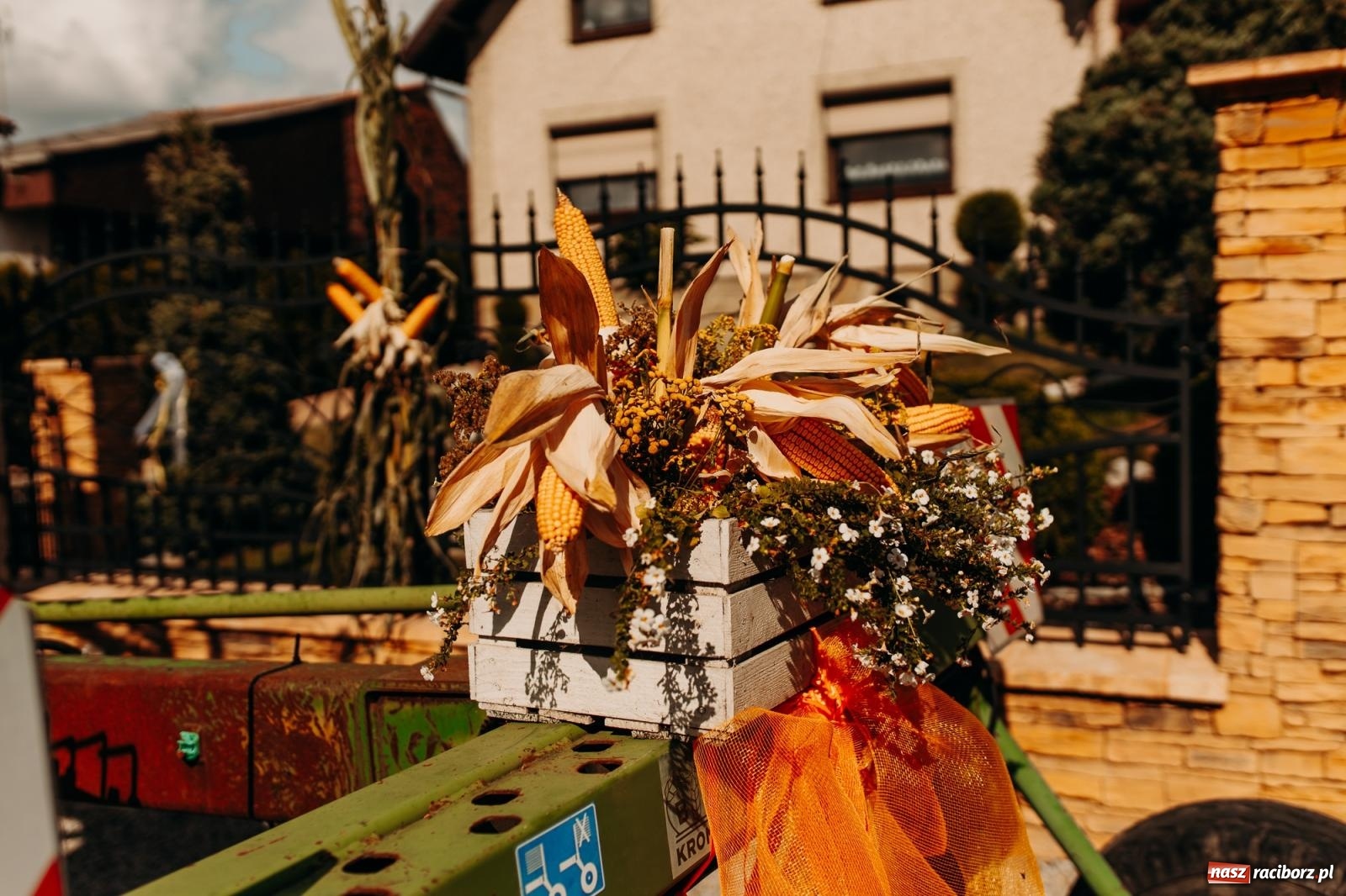 Zdjęcie w galerii na portalu naszraciborz.pl: Po trzech latach dożynki wróciły do Raciborza. Markowice gospodarzem [FOTO i WIDEO] wiadomości z regionu