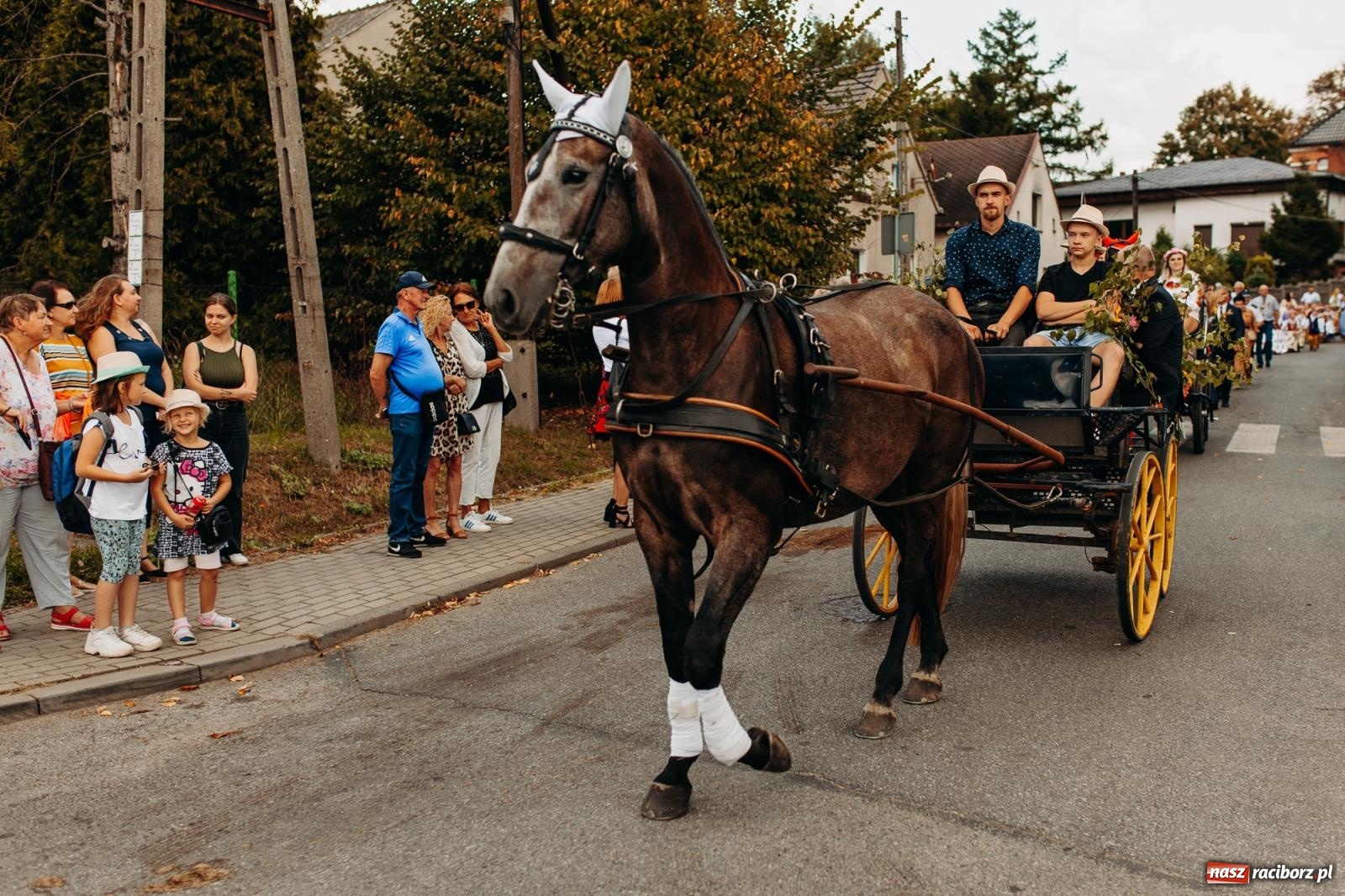 Zdjęcie w galerii na portalu naszraciborz.pl: Po trzech latach dożynki wróciły do Raciborza. Markowice gospodarzem [FOTO i WIDEO] wiadomości z regionu