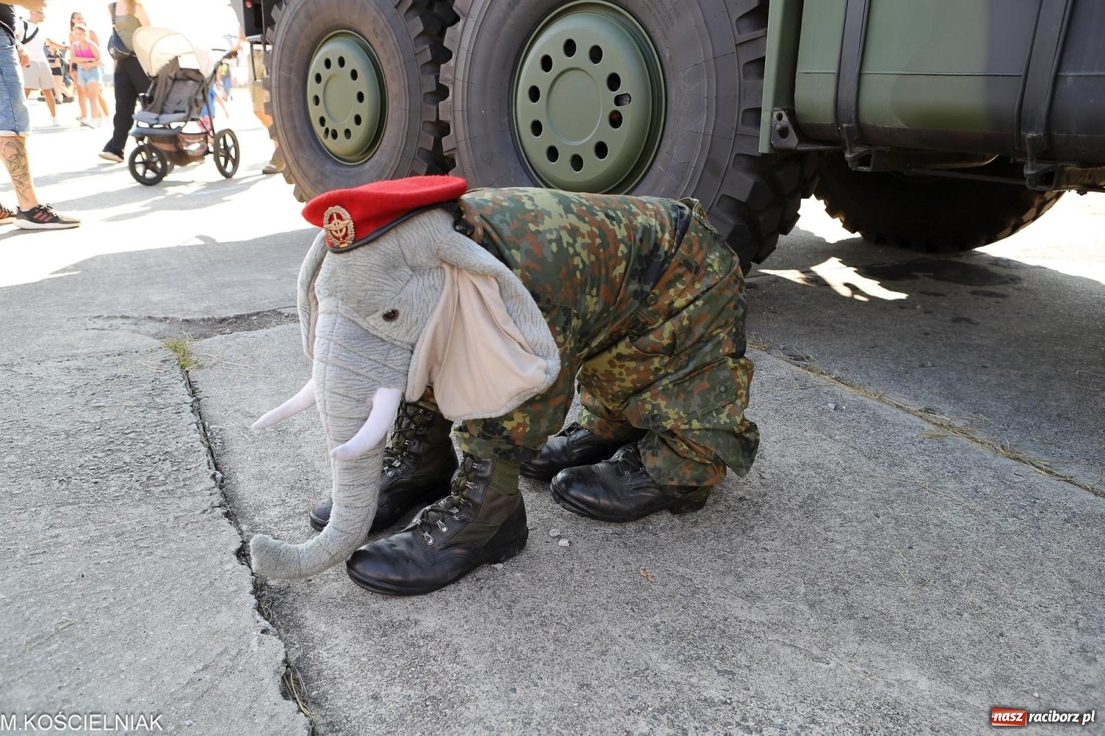 Zdjęcie w galerii na portalu naszraciborz.pl: Tysiące ludzi na Dniach NATO w Ostrawie. Polska specjalnym partnerem wydarzenia [FOTO] wiadomości z regionu