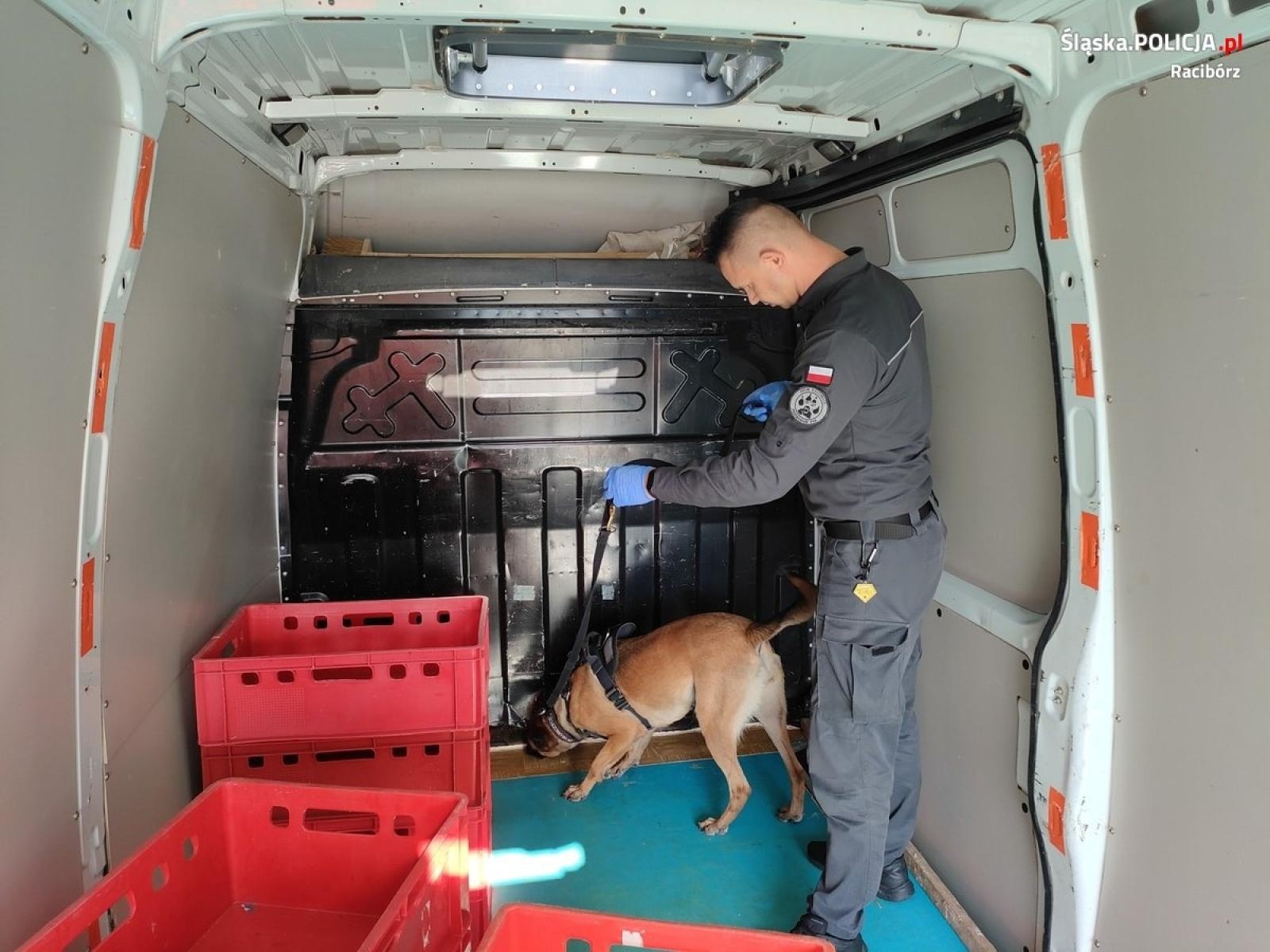 Zdjęcie w galerii na portalu naszraciborz.pl: Akcja Granica. Policja włączyła do działań psy tropiące więzienników wiadomości z regionu