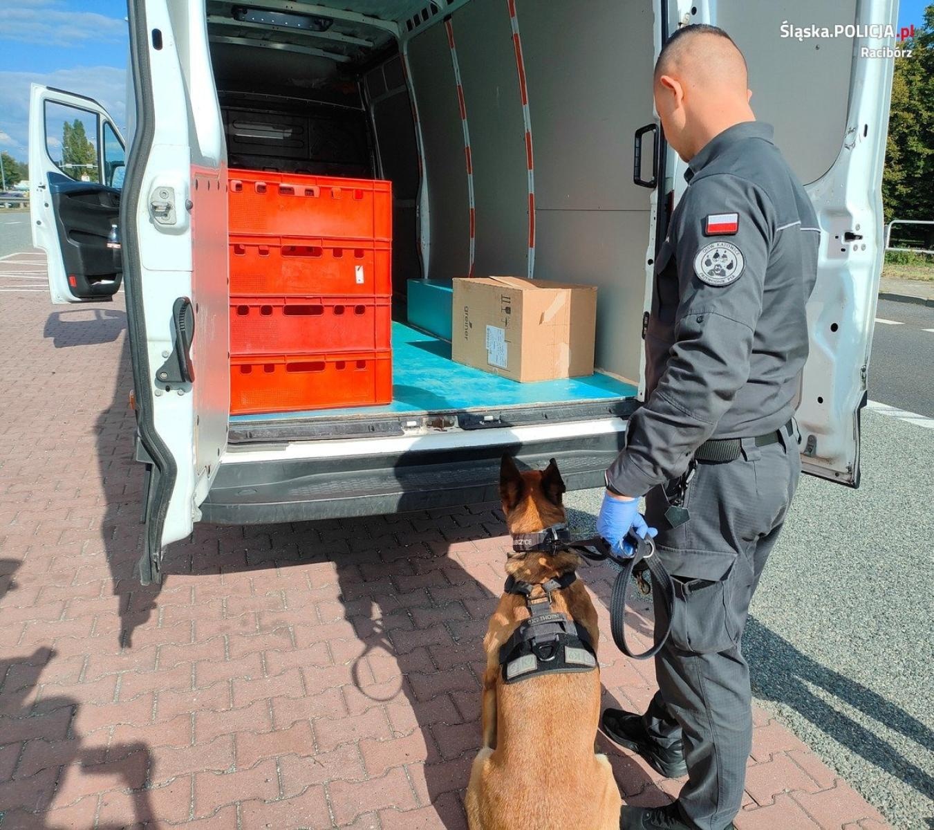 Zdjęcie w galerii na portalu naszraciborz.pl: Akcja Granica. Policja włączyła do działań psy tropiące więzienników wiadomości z regionu