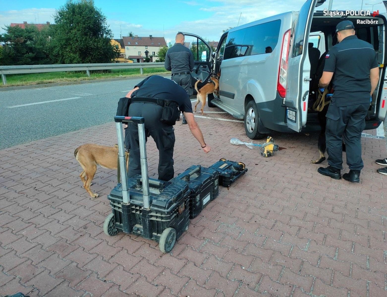 Zdjęcie w galerii na portalu naszraciborz.pl: Akcja Granica. Policja włączyła do działań psy tropiące więzienników wiadomości z regionu
