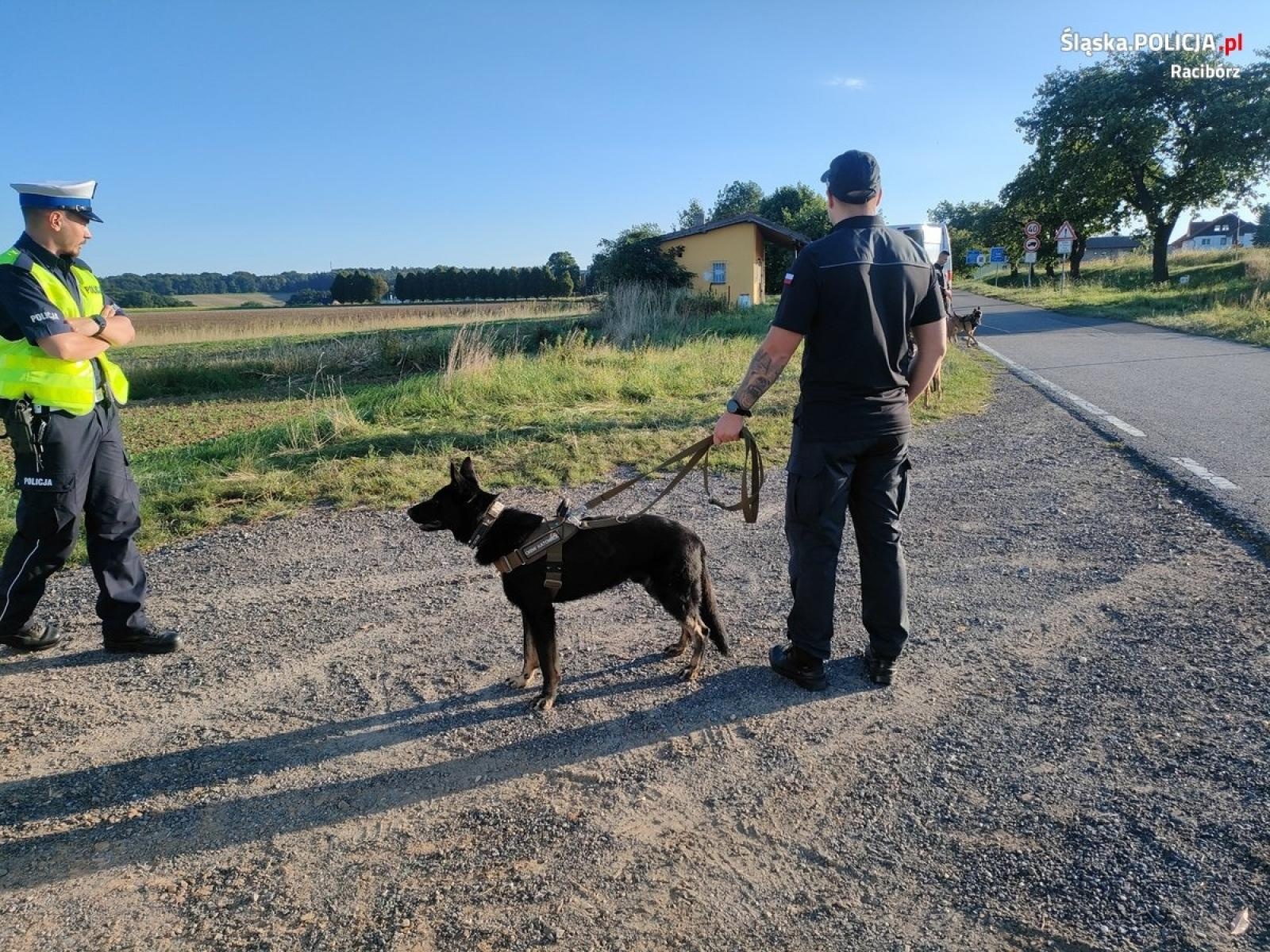 Zdjęcie w galerii na portalu naszraciborz.pl: Akcja Granica. Policja włączyła do działań psy tropiące więzienników wiadomości z regionu