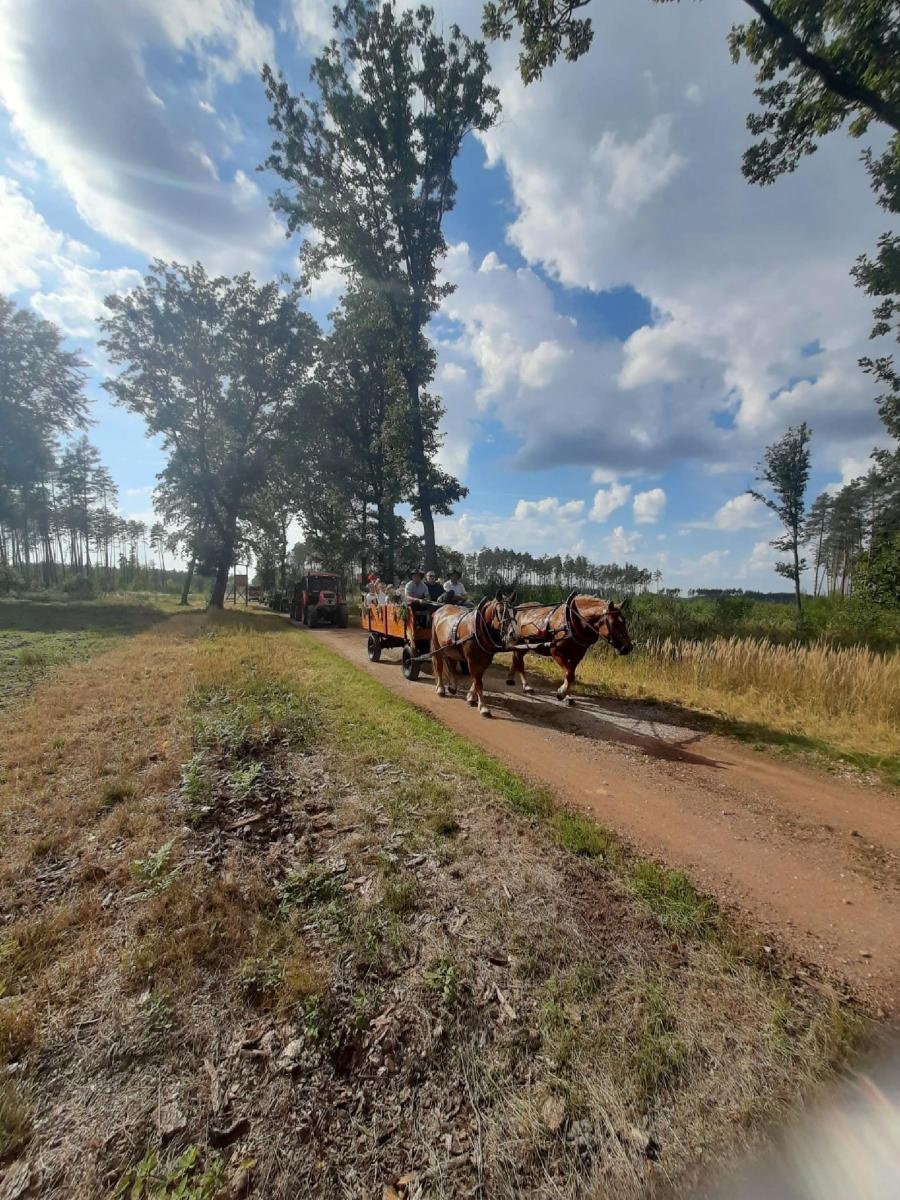 Zdjęcie w galerii na portalu naszraciborz.pl: Parafialne rolno-leśne dożynki w Nędzy [FOTO] wiadomości z regionu