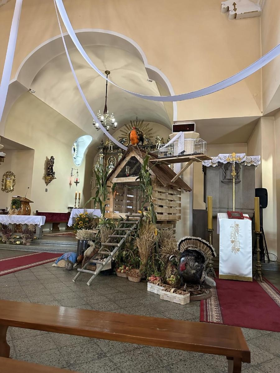 Zdjęcie w galerii na portalu naszraciborz.pl: Parafialne rolno-leśne dożynki w Nędzy [FOTO] wiadomości z regionu