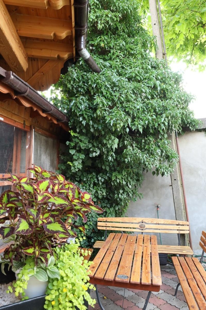 Zdjęcie w galerii na portalu naszraciborz.pl: Ogród przy miejscu pracy - laureaci konkursu Zielono Mi wiadomości z regionu