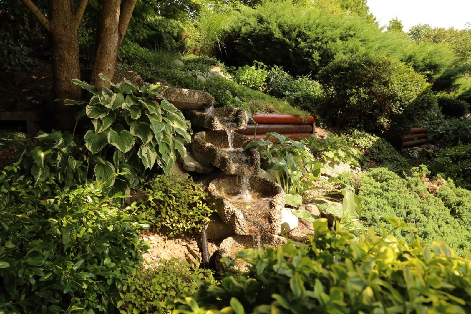 Zdjęcie w galerii na portalu naszraciborz.pl: Ogród przy miejscu pracy - laureaci konkursu Zielono Mi wiadomości z regionu