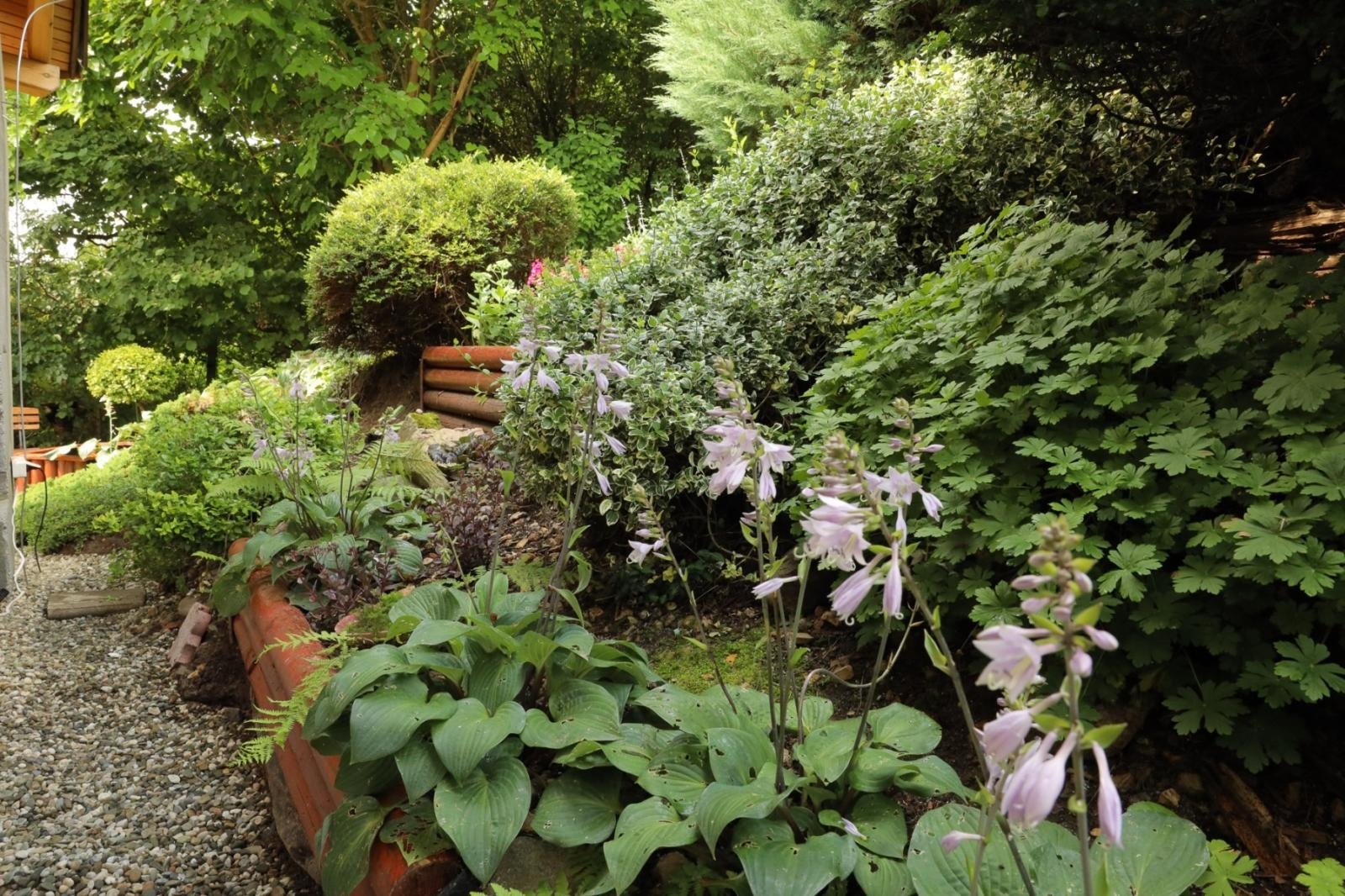 Zdjęcie w galerii na portalu naszraciborz.pl: Ogród przy miejscu pracy - laureaci konkursu Zielono Mi wiadomości z regionu