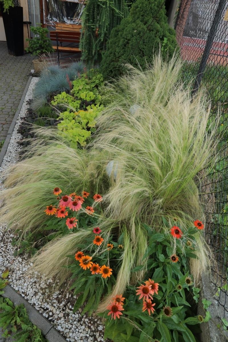 Zdjęcie w galerii na portalu naszraciborz.pl: Ogród przy miejscu pracy - laureaci konkursu Zielono Mi wiadomości z regionu