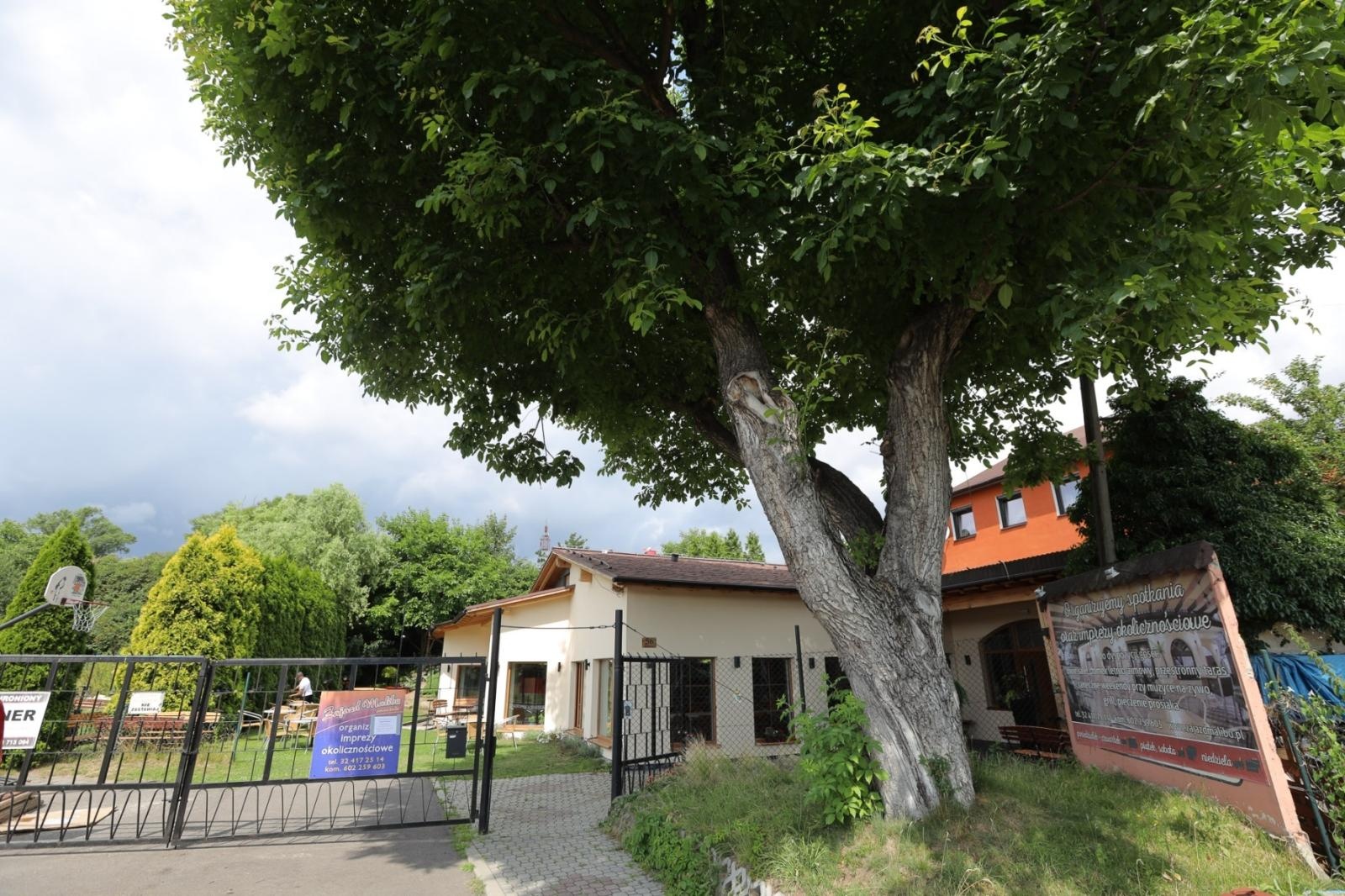 Zdjęcie w galerii na portalu naszraciborz.pl: Ogród przy miejscu pracy - laureaci konkursu Zielono Mi wiadomości z regionu