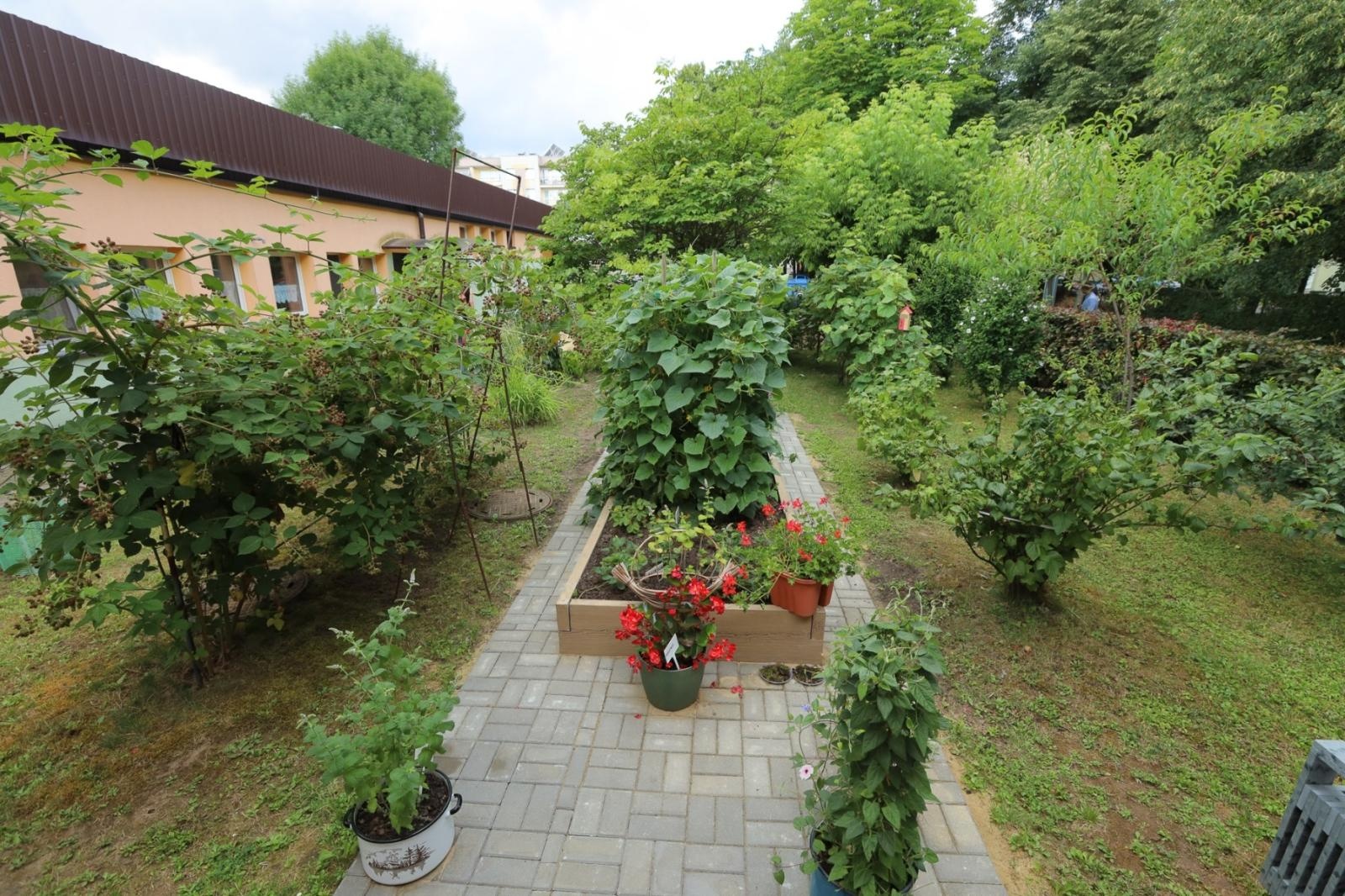 Zdjęcie w galerii na portalu naszraciborz.pl: Ogród przy miejscu pracy - laureaci konkursu Zielono Mi wiadomości z regionu