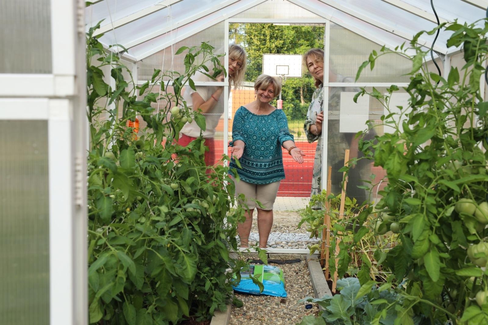 Zdjęcie w galerii na portalu naszraciborz.pl: Ogród przy miejscu pracy - laureaci konkursu Zielono Mi wiadomości z regionu