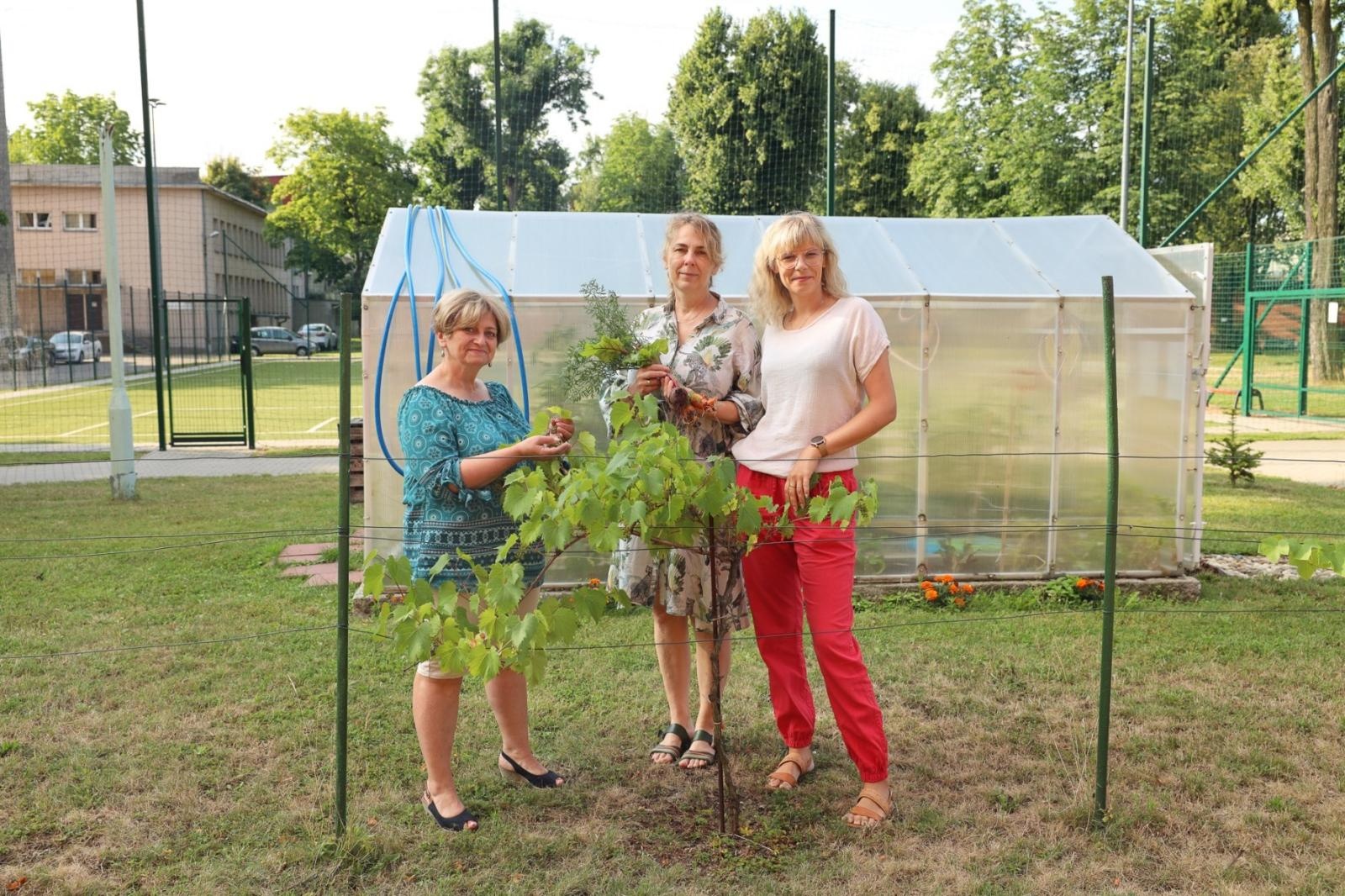Zdjęcie w galerii na portalu naszraciborz.pl: Ogród przy miejscu pracy - laureaci konkursu Zielono Mi wiadomości z regionu