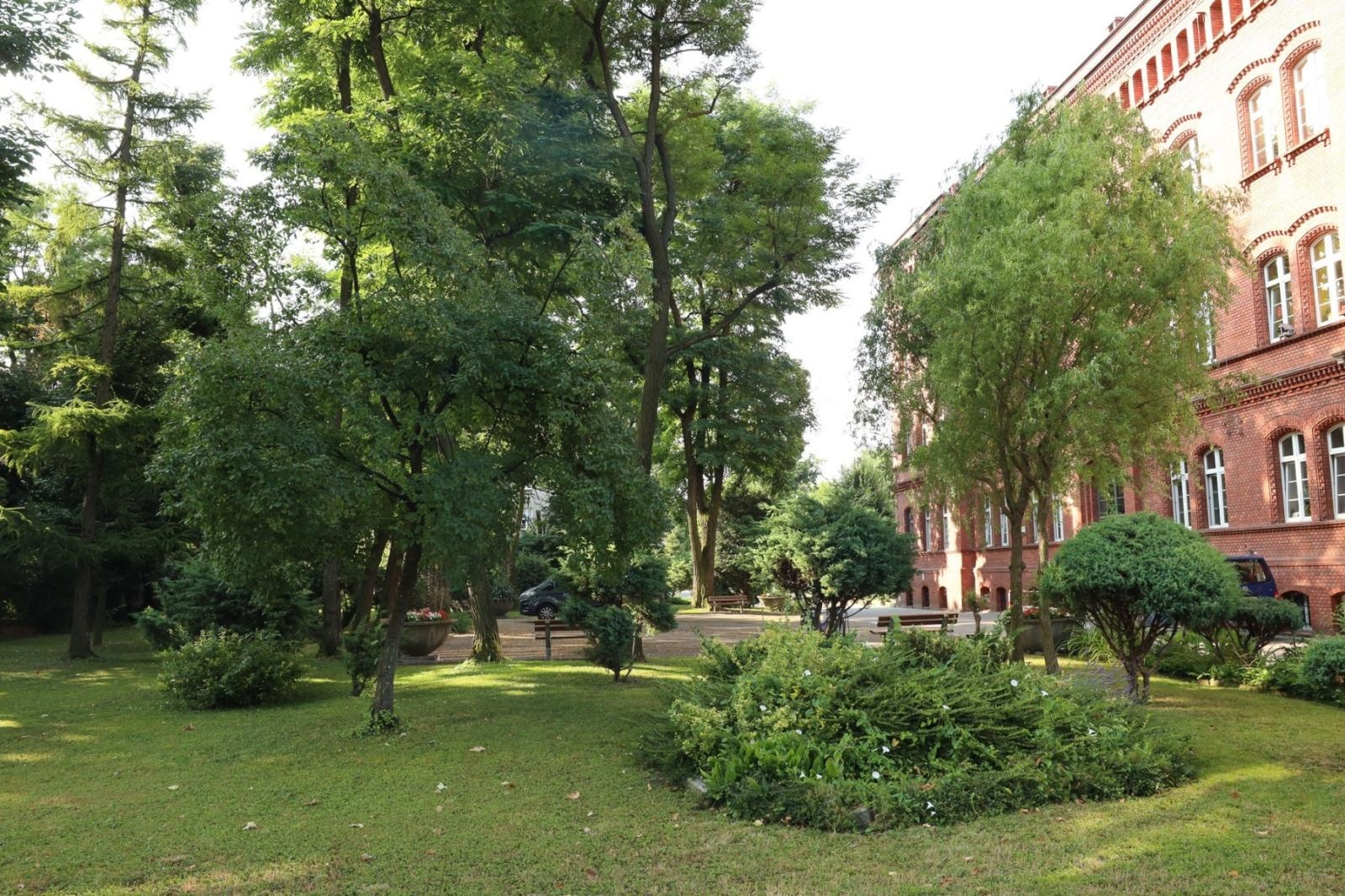 Zdjęcie w galerii na portalu naszraciborz.pl: Ogród przy miejscu pracy - laureaci konkursu Zielono Mi wiadomości z regionu