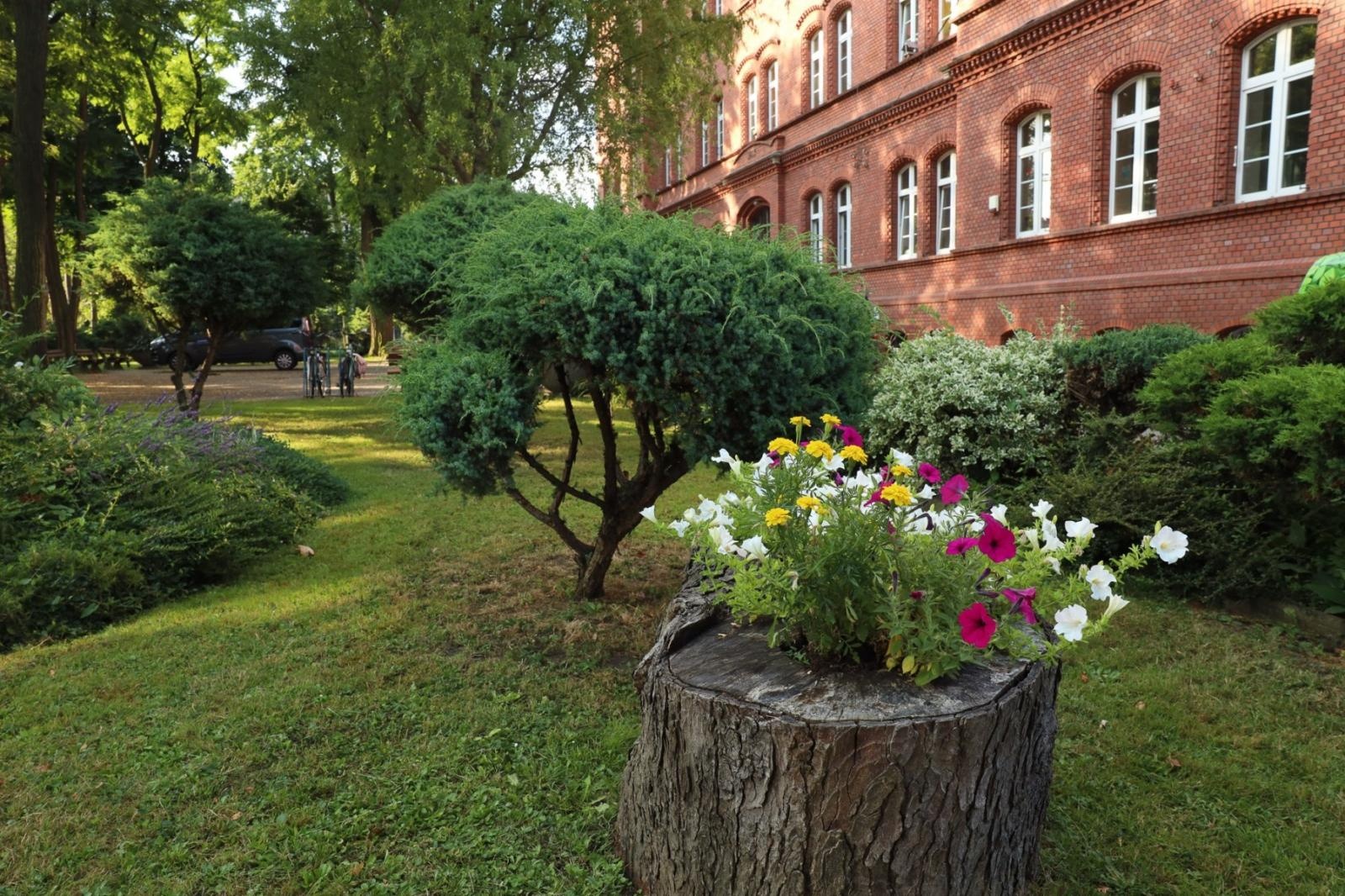 Zdjęcie w galerii na portalu naszraciborz.pl: Ogród przy miejscu pracy - laureaci konkursu Zielono Mi wiadomości z regionu