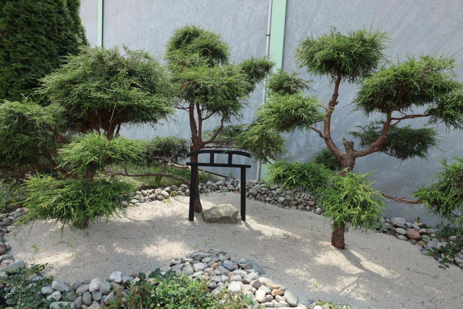 Zdjęcie w galerii na portalu naszraciborz.pl: Ogród przy miejscu pracy - laureaci konkursu Zielono Mi wiadomości z regionu