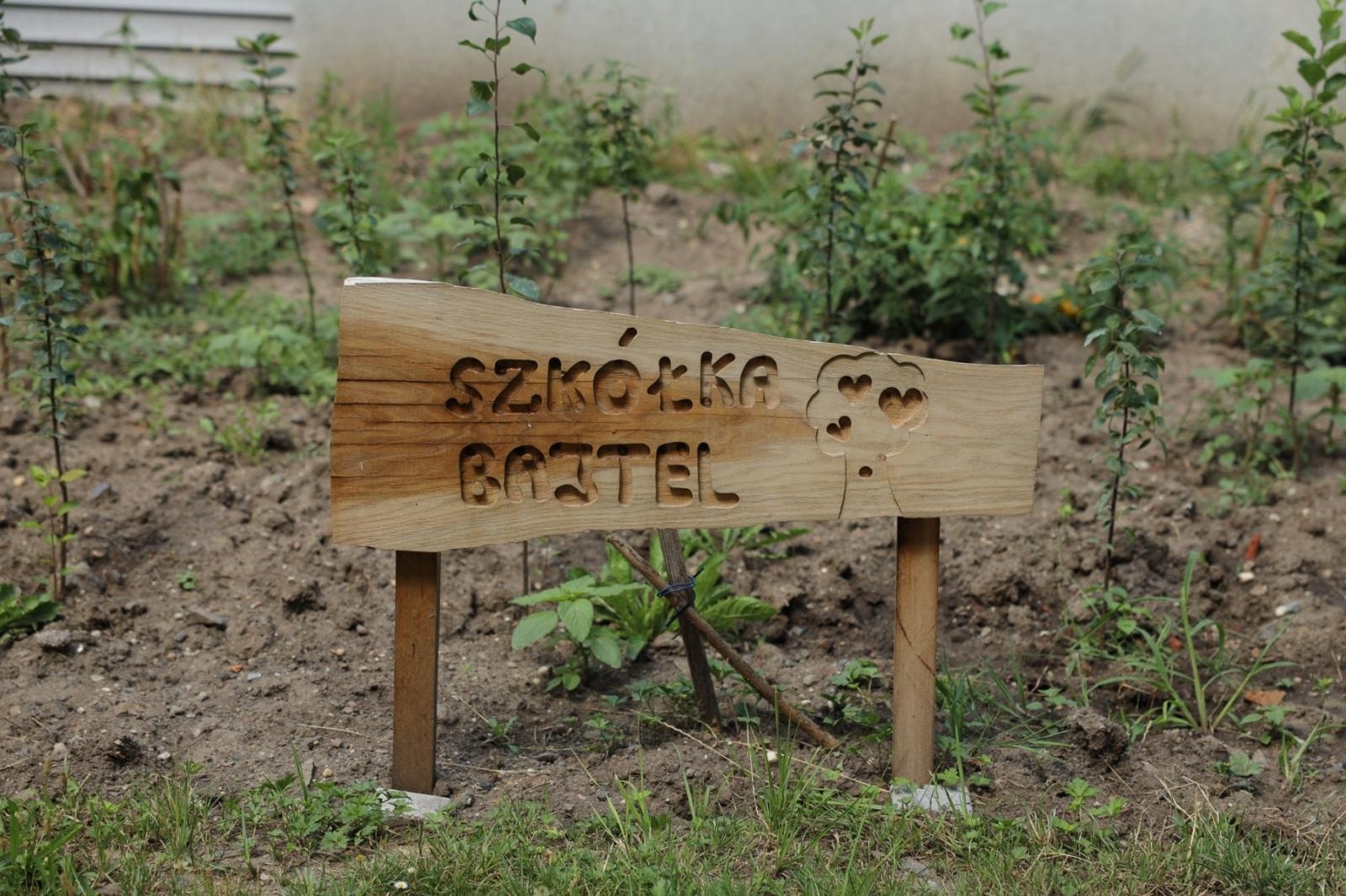 Zdjęcie w galerii na portalu naszraciborz.pl: Ogród przy miejscu pracy - laureaci konkursu Zielono Mi wiadomości z regionu