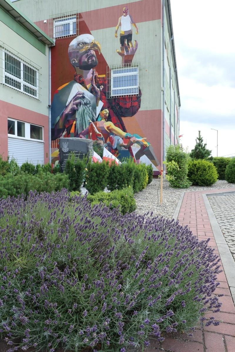 Zdjęcie w galerii na portalu naszraciborz.pl: Ogród przy miejscu pracy - laureaci konkursu Zielono Mi wiadomości z regionu