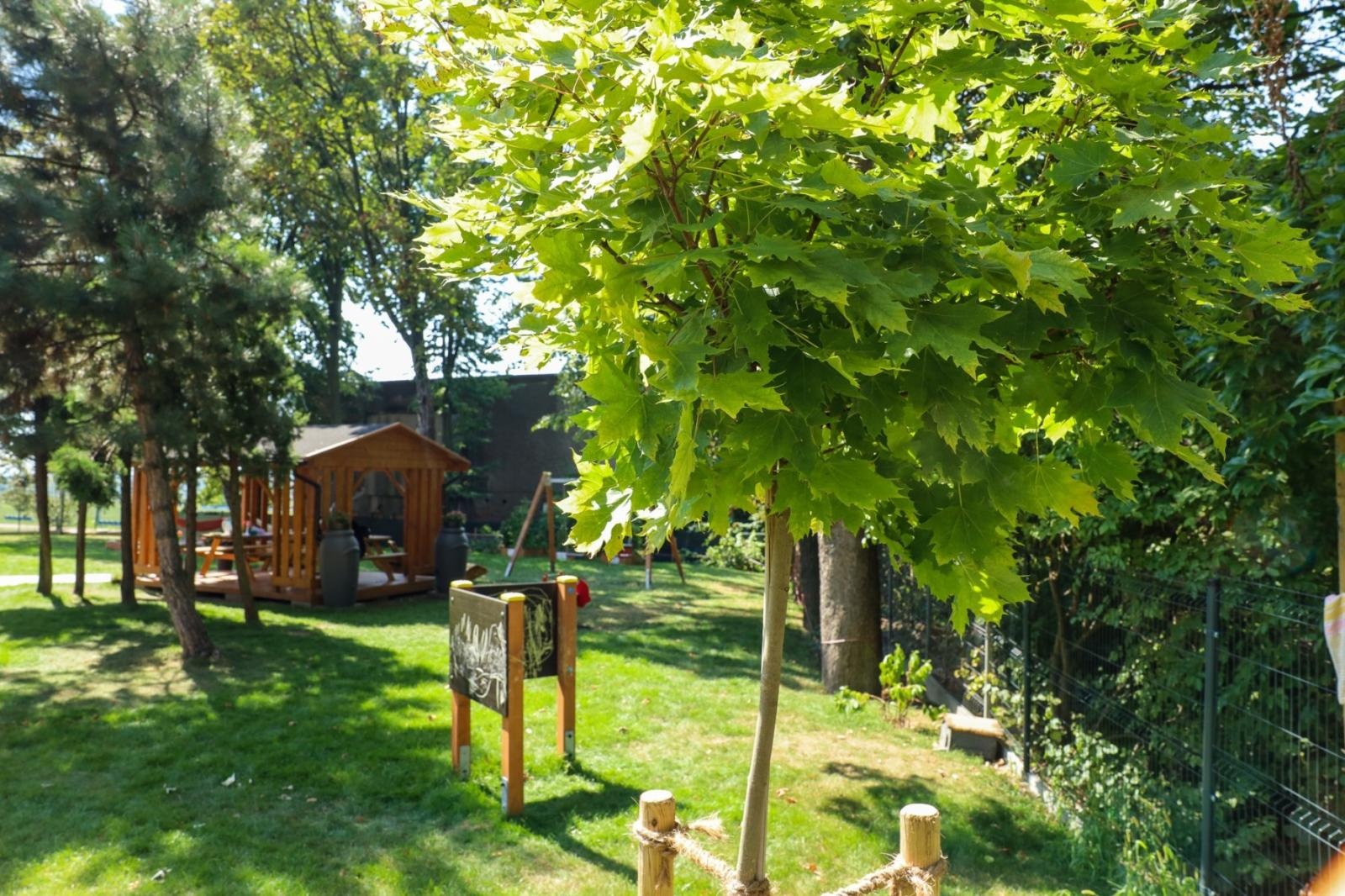 Zdjęcie w galerii na portalu naszraciborz.pl: Ogród przy miejscu pracy - laureaci konkursu Zielono Mi wiadomości z regionu