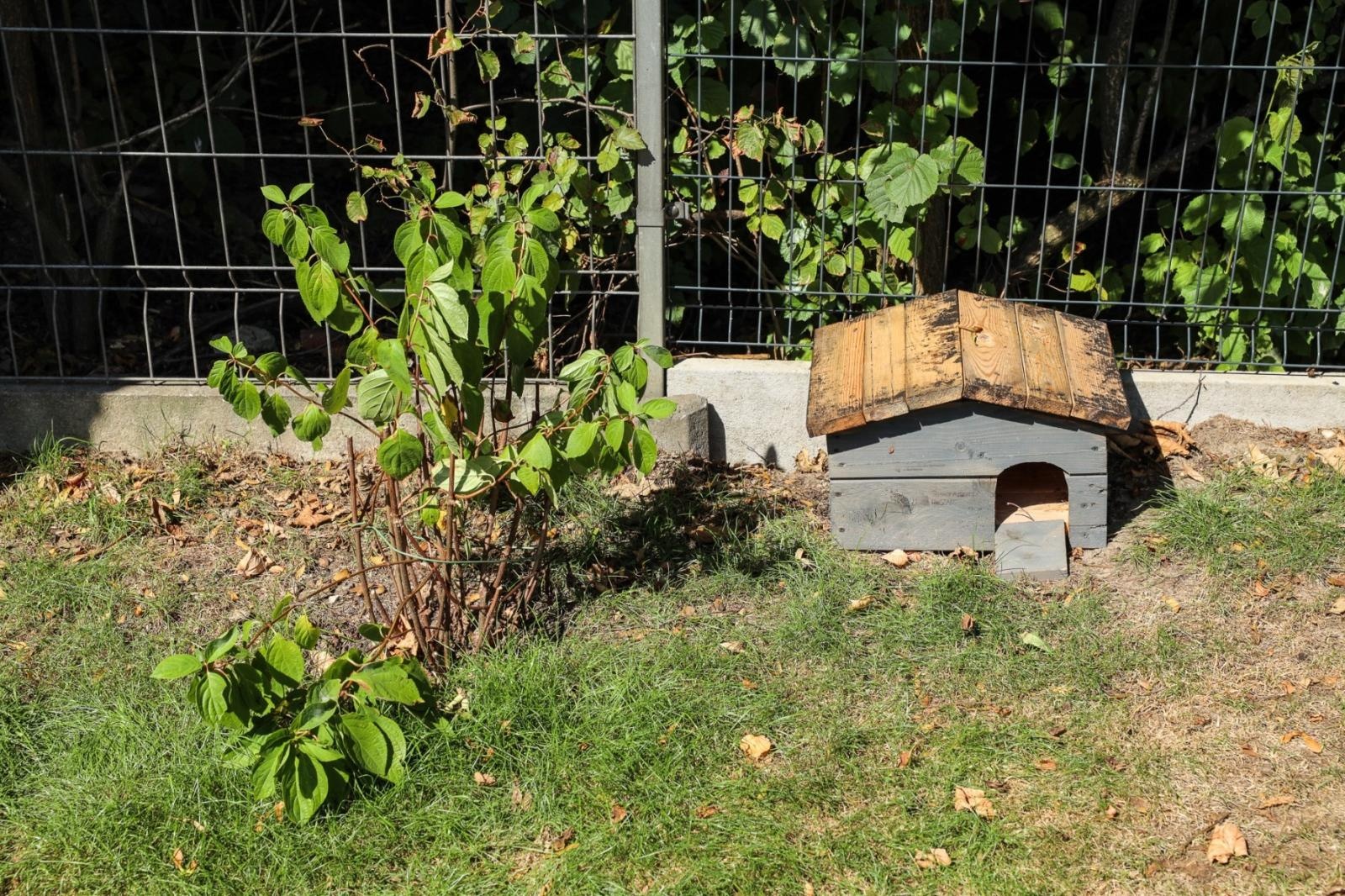 Zdjęcie w galerii na portalu naszraciborz.pl: Ogród przy miejscu pracy - laureaci konkursu Zielono Mi wiadomości z regionu