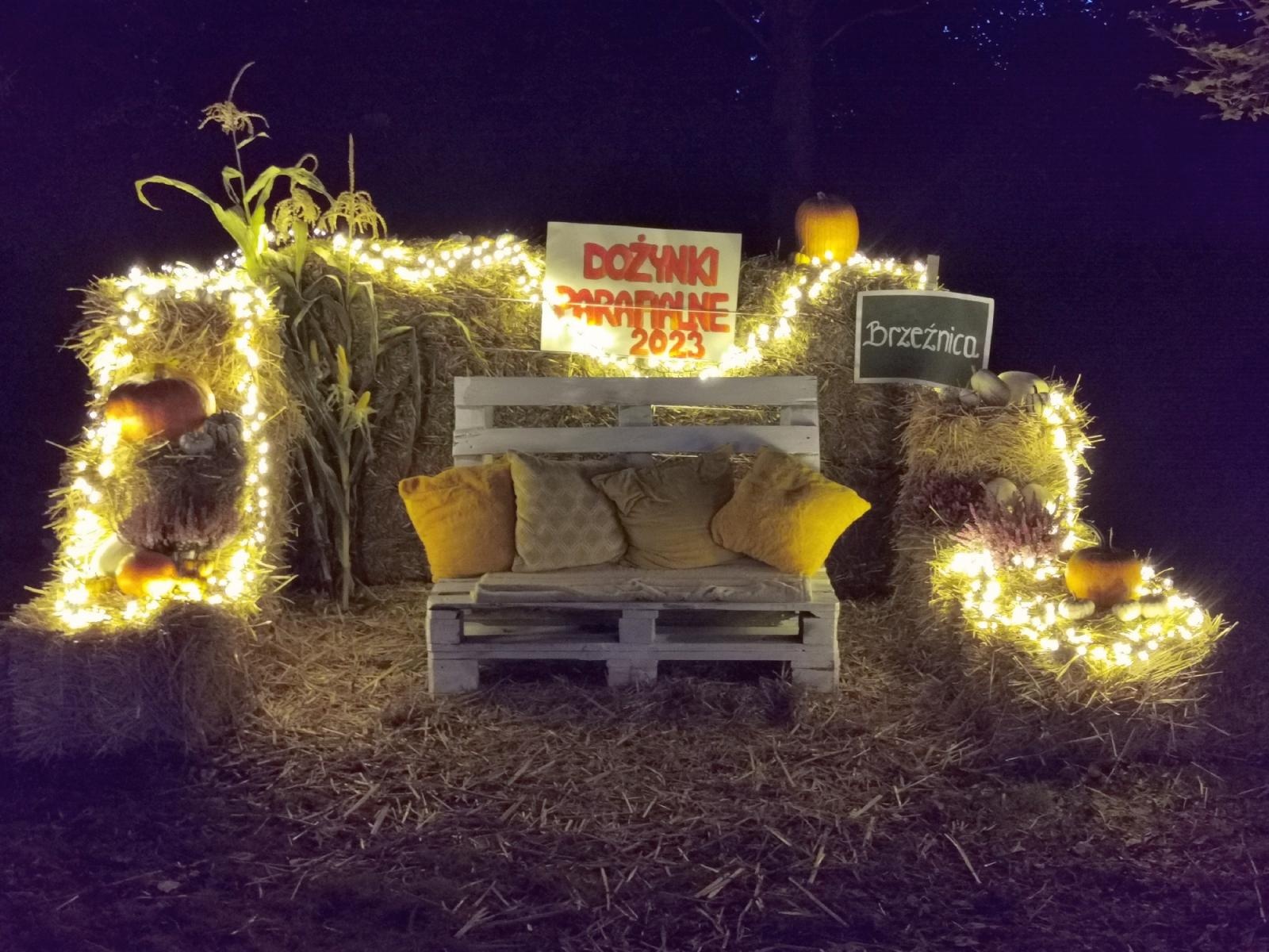 Zdjęcie w galerii na portalu naszraciborz.pl: Niedziela w Łubowicach pełna wrażeń – migawki z dożynek parafialnych wiadomości z regionu