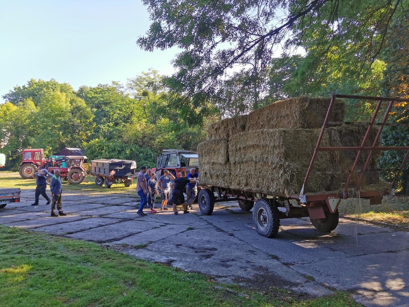 Zdjęcie w galerii na portalu naszraciborz.pl: Niedziela w Łubowicach pełna wrażeń – migawki z dożynek parafialnych wiadomości z regionu