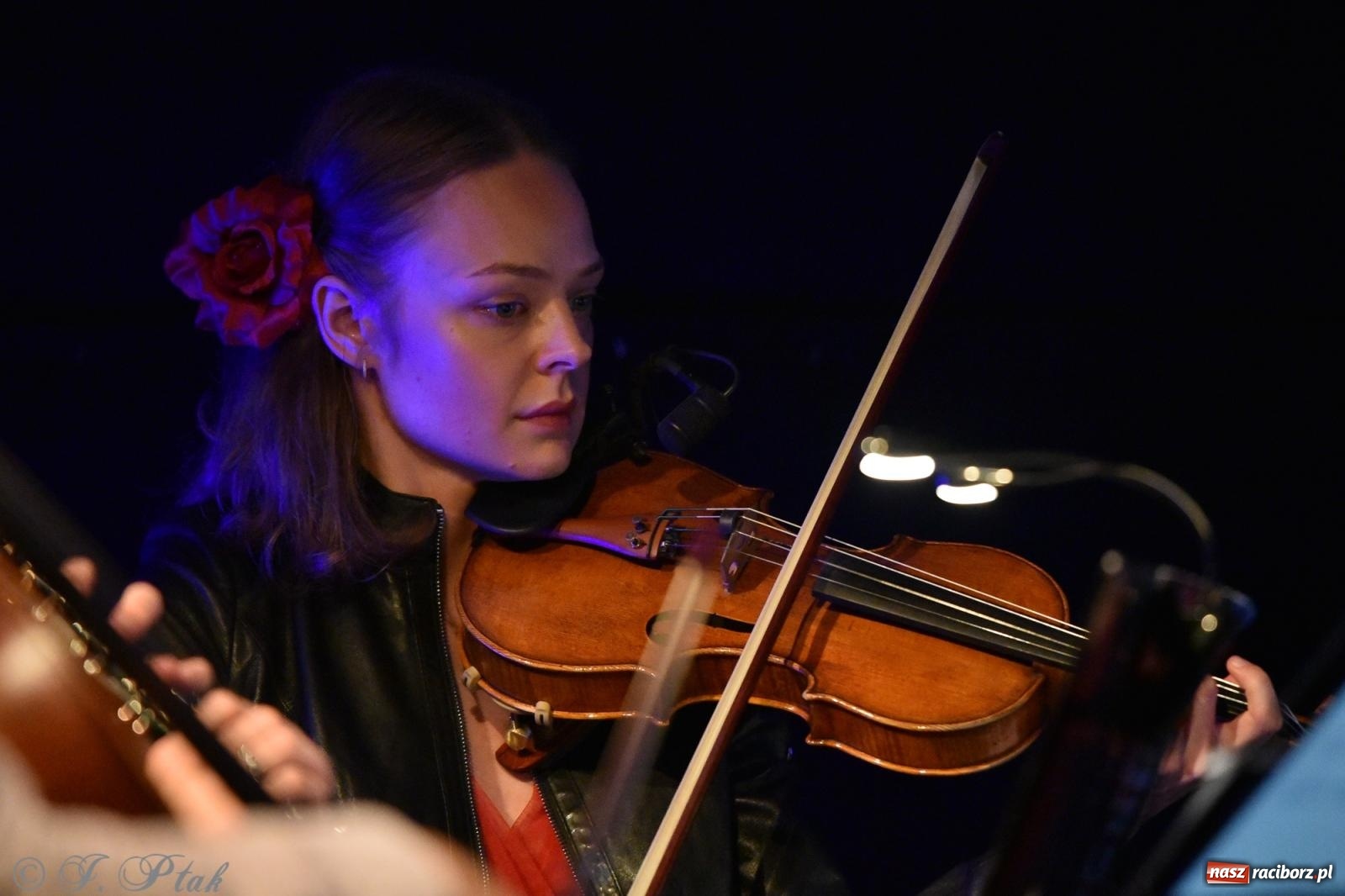 Zdjęcie w galerii na portalu naszraciborz.pl: CYGANKA AZA. Film z muzyką na żywo w Strzesze [FOTO i WIDEO] wiadomości z regionu