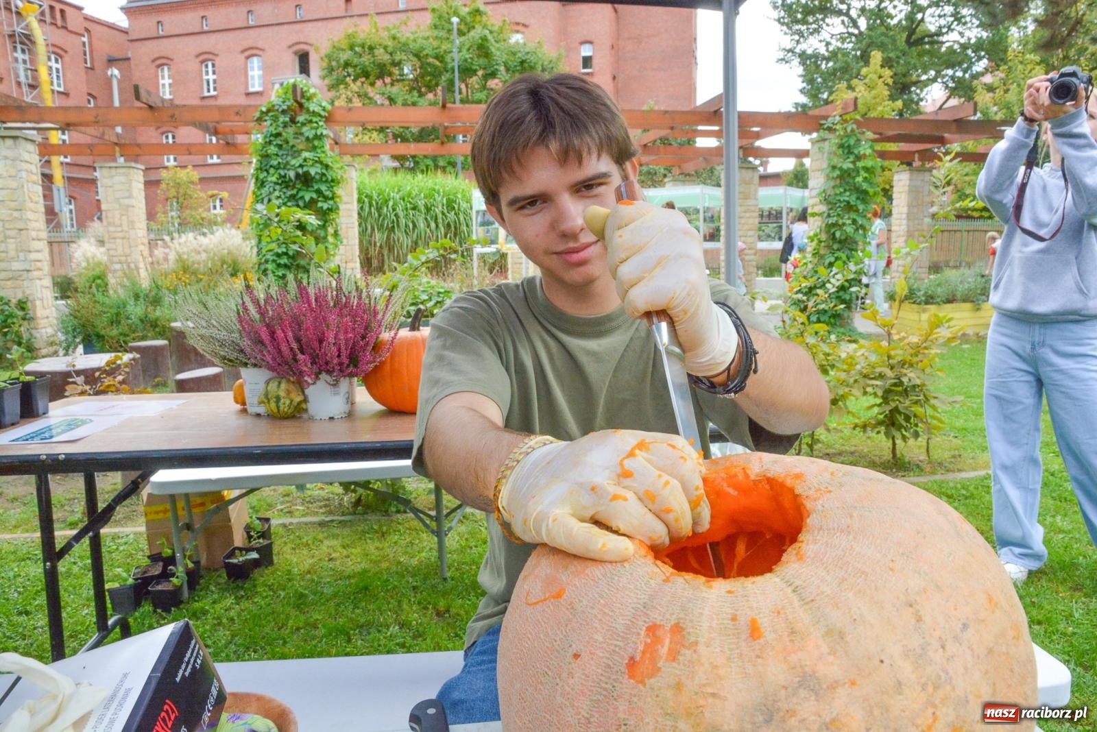 Zdjęcie w galerii na portalu naszraciborz.pl: Raciborskie Święto Dyni w Ogródku Jordanowskim [FOTO] wiadomości z regionu