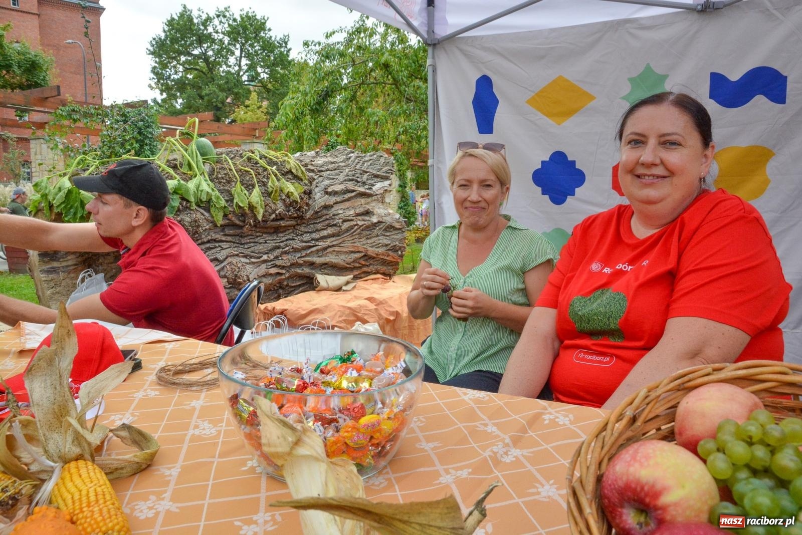 Zdjęcie w galerii na portalu naszraciborz.pl: Raciborskie Święto Dyni w Ogródku Jordanowskim [FOTO] wiadomości z regionu