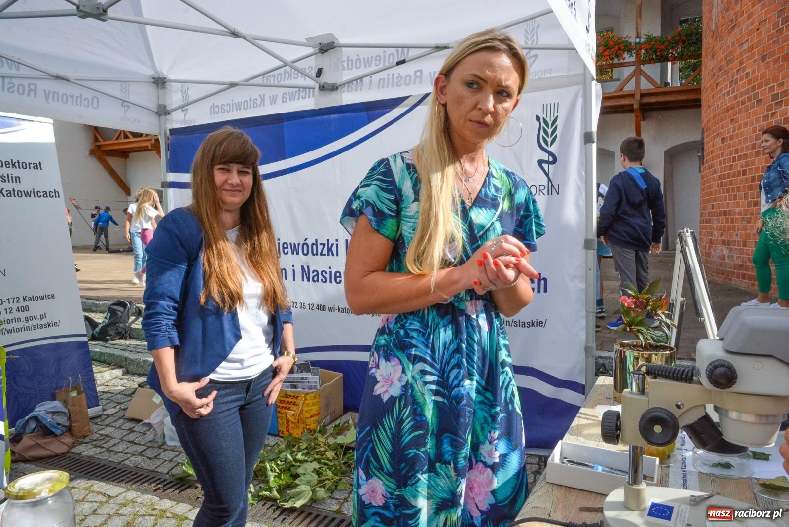 Zdjęcie w galerii na portalu naszraciborz.pl: Bezpieczne Grzybobranie. Nie bądź atrakcyjny dla kleszczy - wystawa na zamku wiadomości z regionu