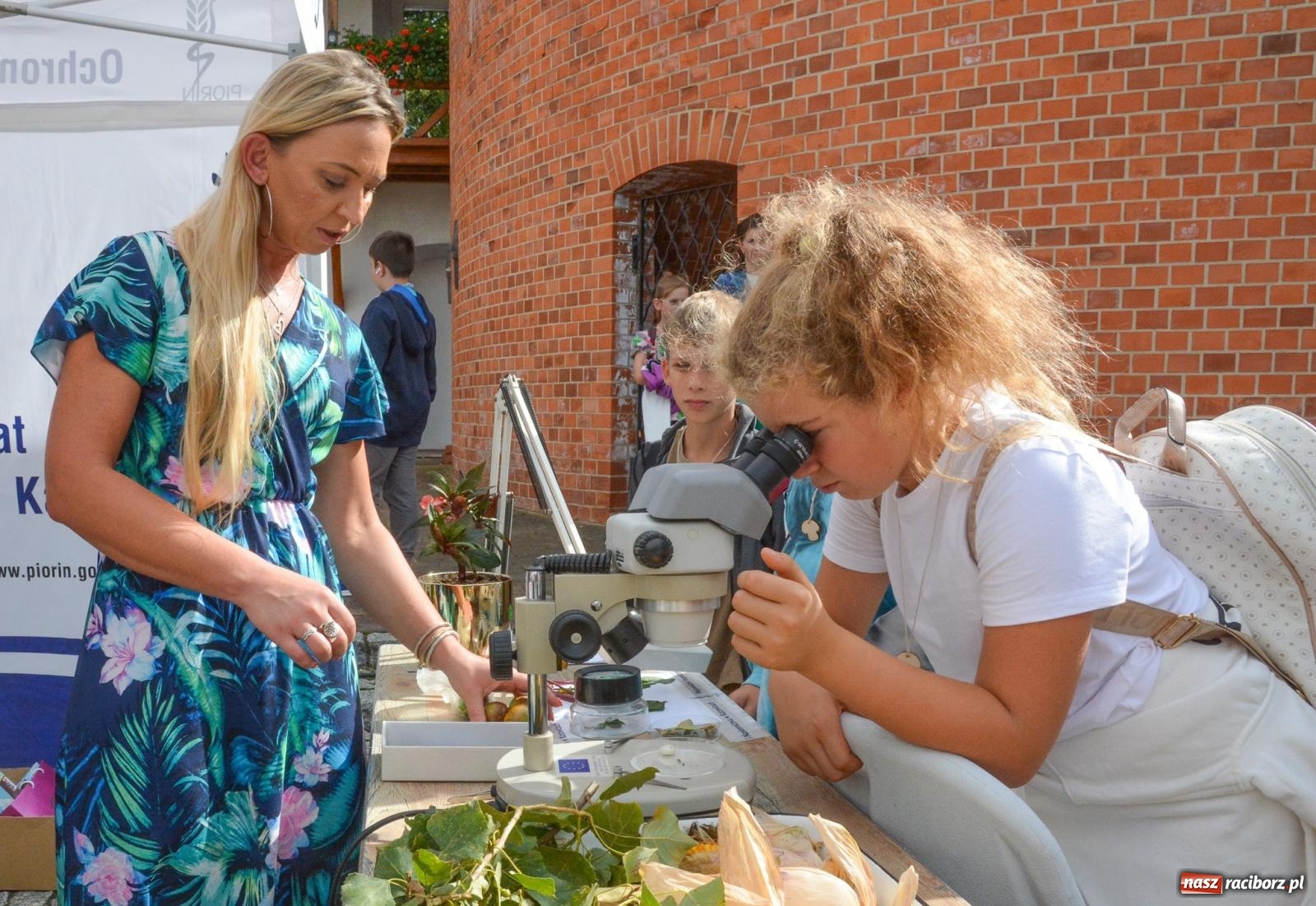 Zdjęcie w galerii na portalu naszraciborz.pl: Bezpieczne Grzybobranie. Nie bądź atrakcyjny dla kleszczy - wystawa na zamku wiadomości z regionu