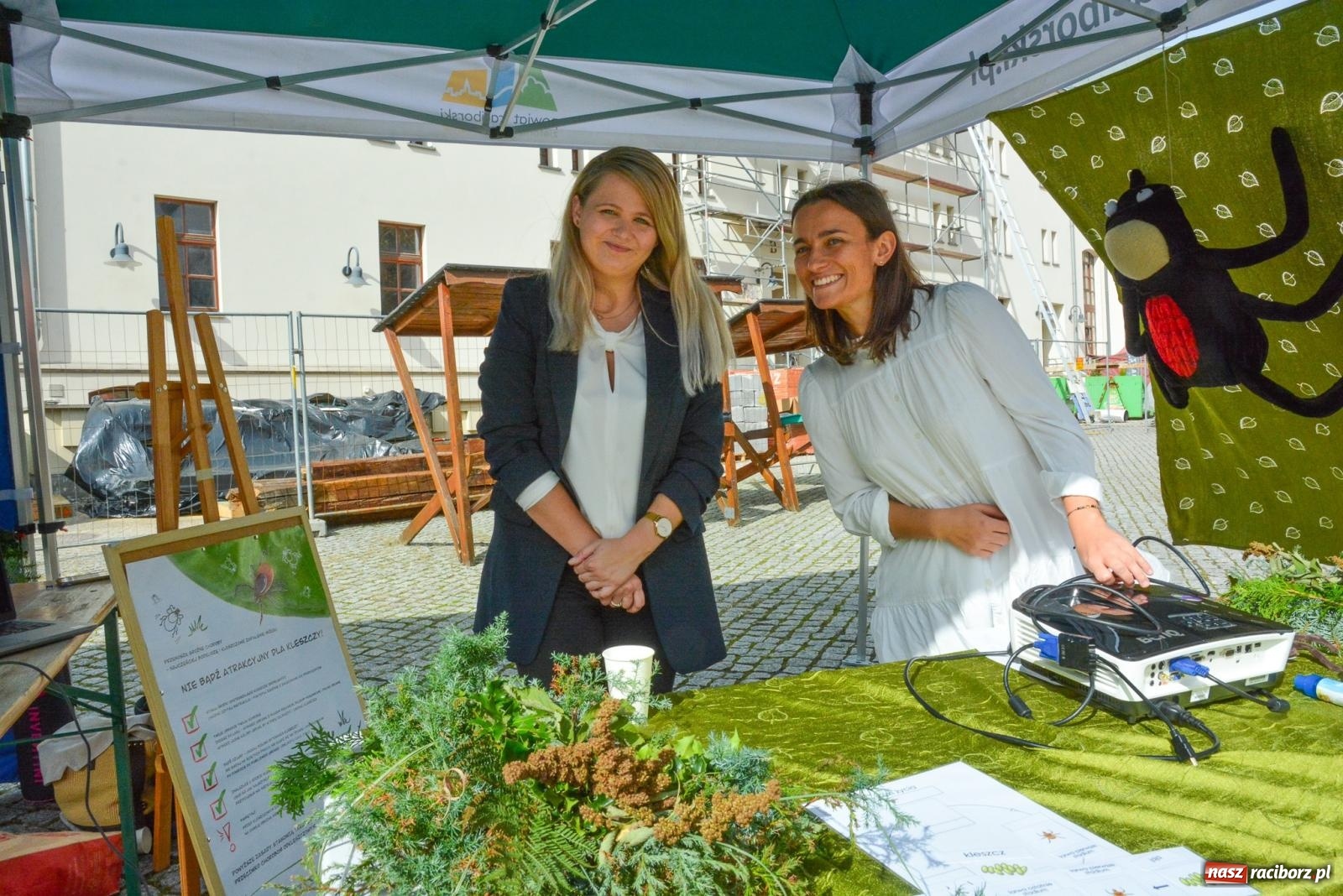 Zdjęcie w galerii na portalu naszraciborz.pl: Bezpieczne Grzybobranie. Nie bądź atrakcyjny dla kleszczy - wystawa na zamku wiadomości z regionu