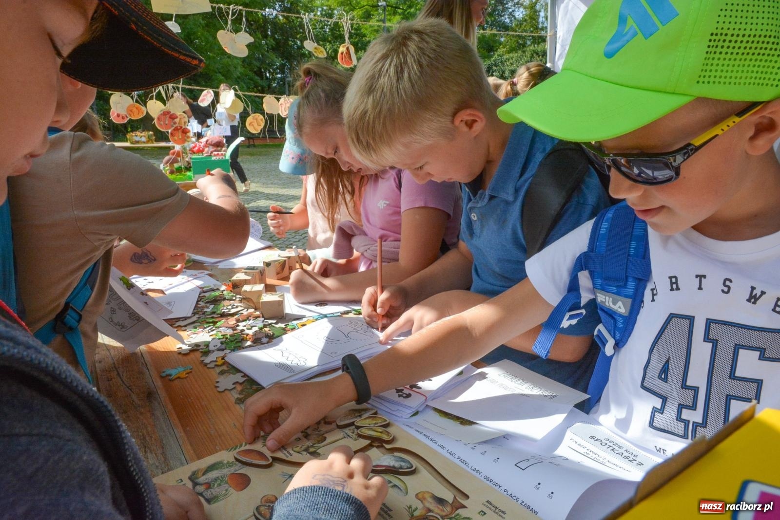 Zdjęcie w galerii na portalu naszraciborz.pl: Bezpieczne Grzybobranie. Nie bądź atrakcyjny dla kleszczy - wystawa na zamku wiadomości z regionu
