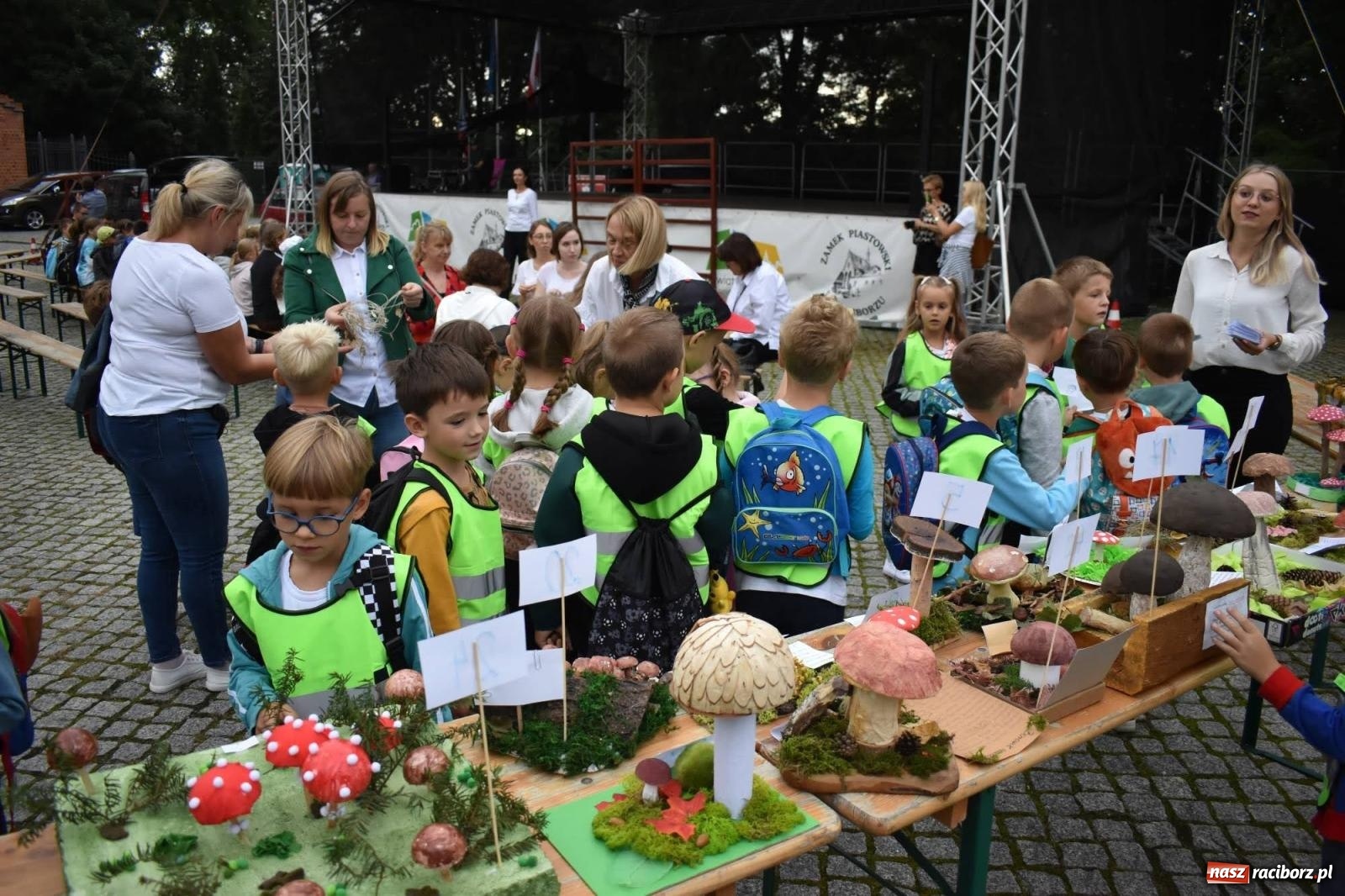 Zdjęcie w galerii na portalu naszraciborz.pl: Bezpieczne Grzybobranie. Nie bądź atrakcyjny dla kleszczy - wystawa na zamku wiadomości z regionu