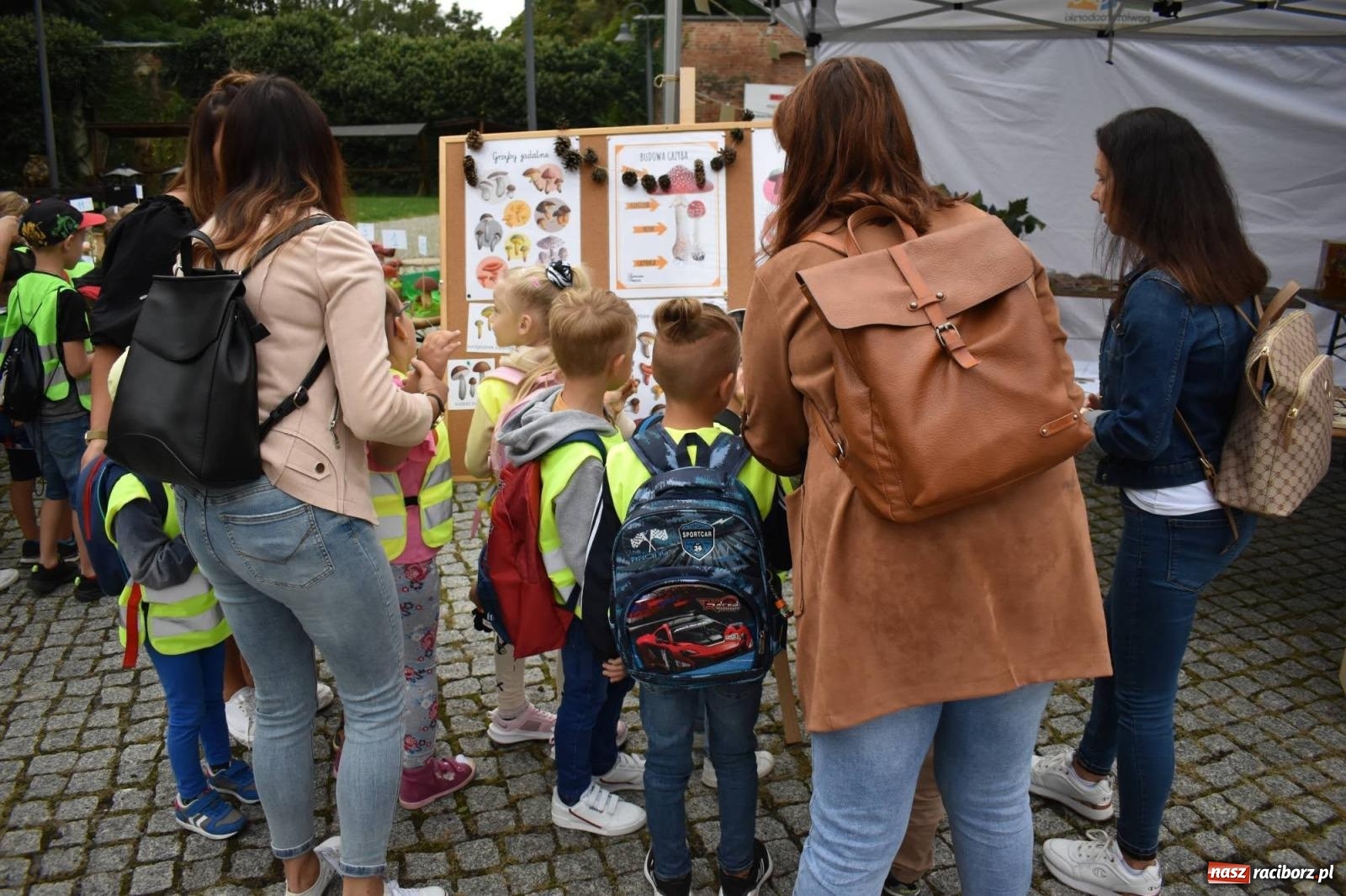 Zdjęcie w galerii na portalu naszraciborz.pl: Bezpieczne Grzybobranie. Nie bądź atrakcyjny dla kleszczy - wystawa na zamku wiadomości z regionu