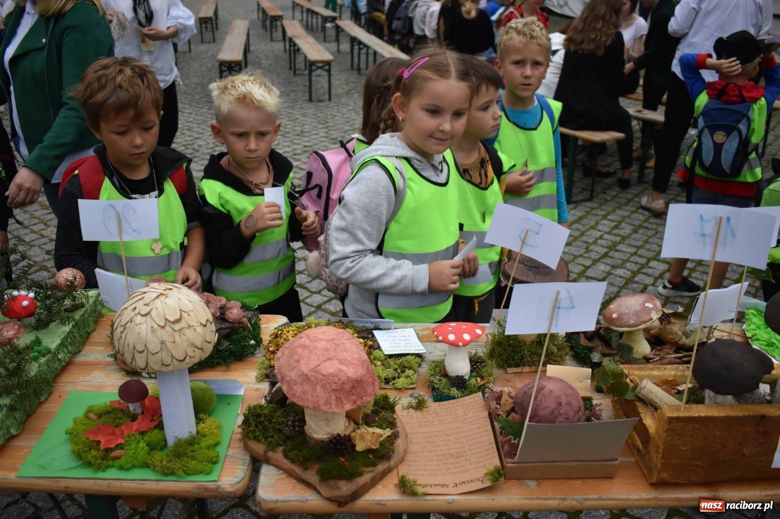 Zdjęcie w galerii na portalu naszraciborz.pl: Bezpieczne Grzybobranie. Nie bądź atrakcyjny dla kleszczy - wystawa na zamku wiadomości z regionu
