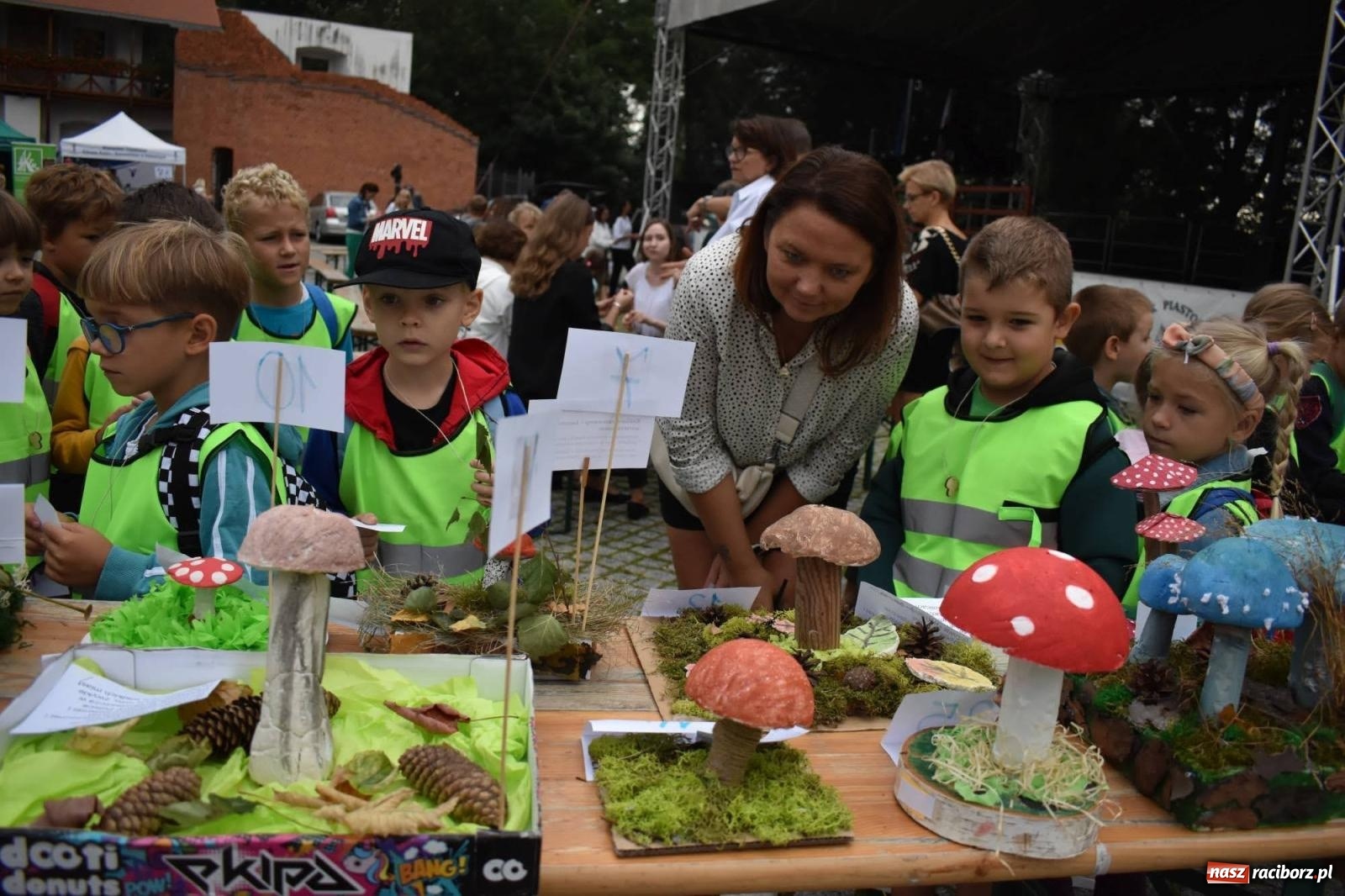 Zdjęcie w galerii na portalu naszraciborz.pl: Bezpieczne Grzybobranie. Nie bądź atrakcyjny dla kleszczy - wystawa na zamku wiadomości z regionu