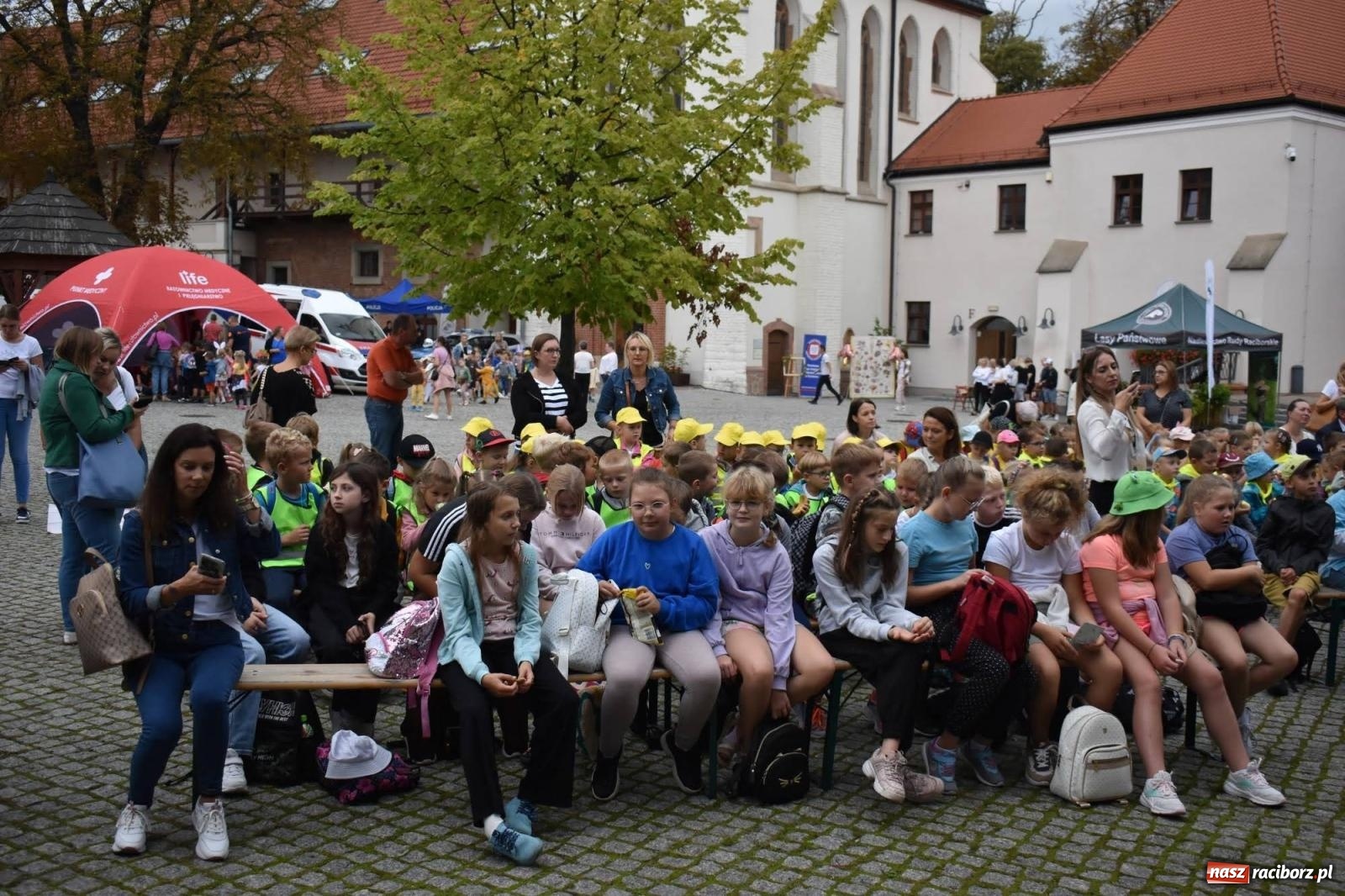 Zdjęcie w galerii na portalu naszraciborz.pl: Bezpieczne Grzybobranie. Nie bądź atrakcyjny dla kleszczy - wystawa na zamku wiadomości z regionu