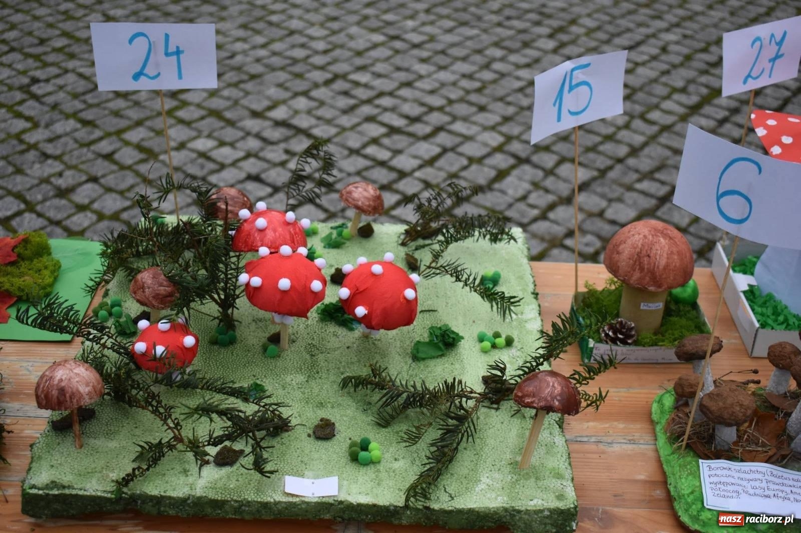 Zdjęcie w galerii na portalu naszraciborz.pl: Bezpieczne Grzybobranie. Nie bądź atrakcyjny dla kleszczy - wystawa na zamku wiadomości z regionu