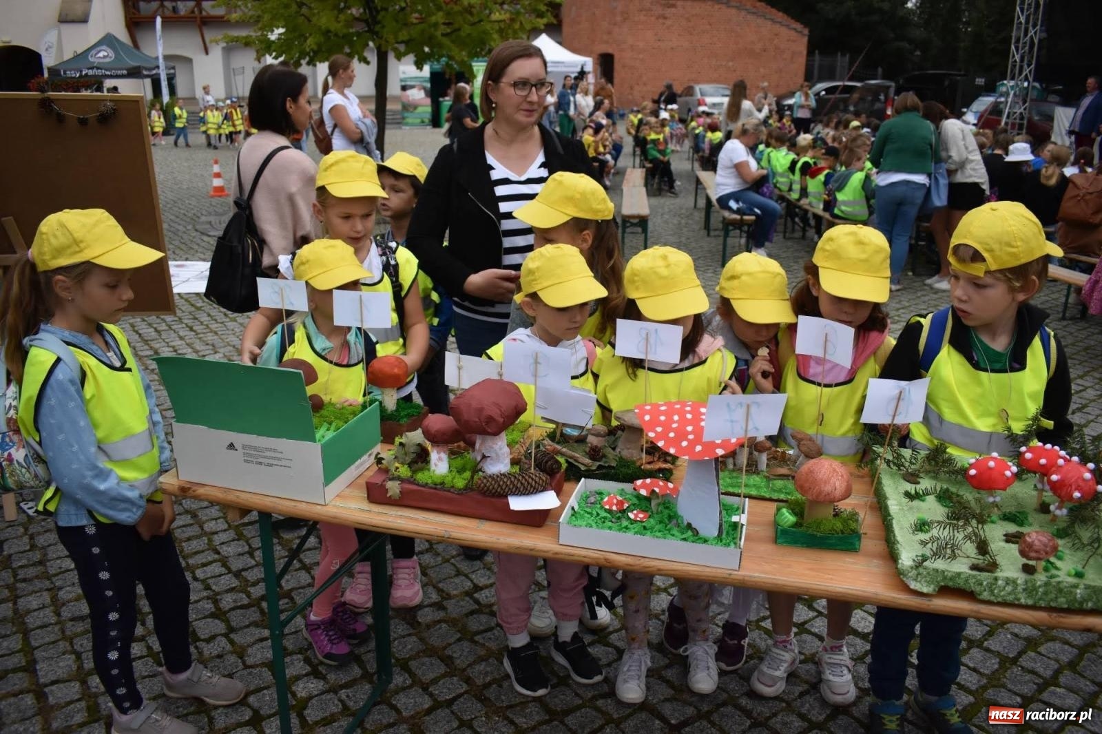 Zdjęcie w galerii na portalu naszraciborz.pl: Bezpieczne Grzybobranie. Nie bądź atrakcyjny dla kleszczy - wystawa na zamku wiadomości z regionu