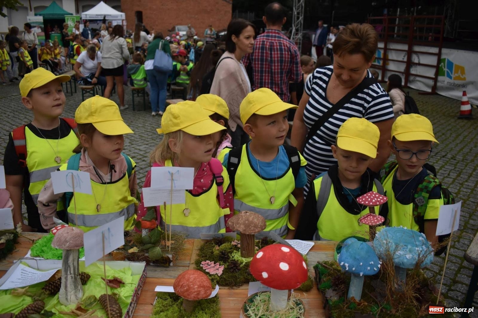 Zdjęcie w galerii na portalu naszraciborz.pl: Bezpieczne Grzybobranie. Nie bądź atrakcyjny dla kleszczy - wystawa na zamku wiadomości z regionu