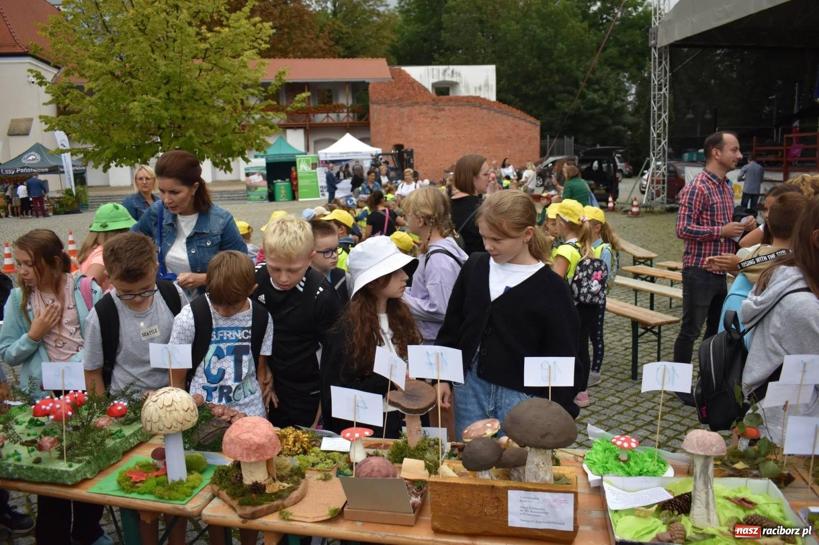 Zdjęcie w galerii na portalu naszraciborz.pl: Bezpieczne Grzybobranie. Nie bądź atrakcyjny dla kleszczy - wystawa na zamku wiadomości z regionu