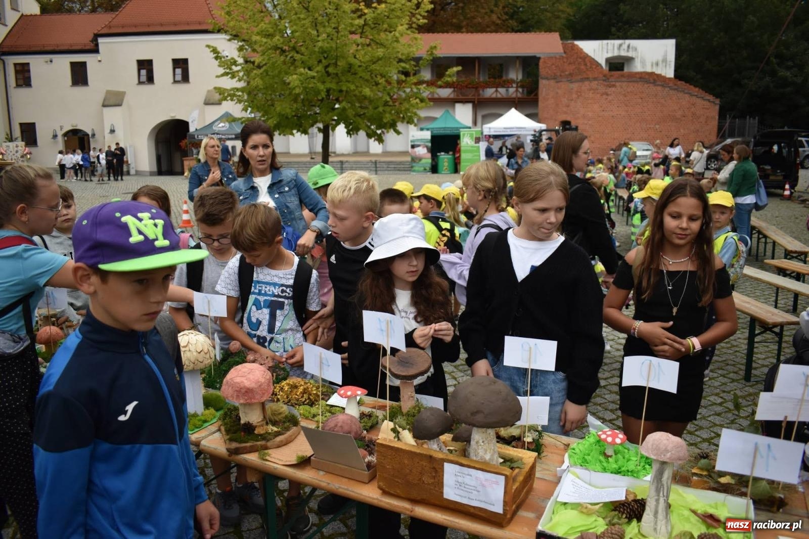 Zdjęcie w galerii na portalu naszraciborz.pl: Bezpieczne Grzybobranie. Nie bądź atrakcyjny dla kleszczy - wystawa na zamku wiadomości z regionu