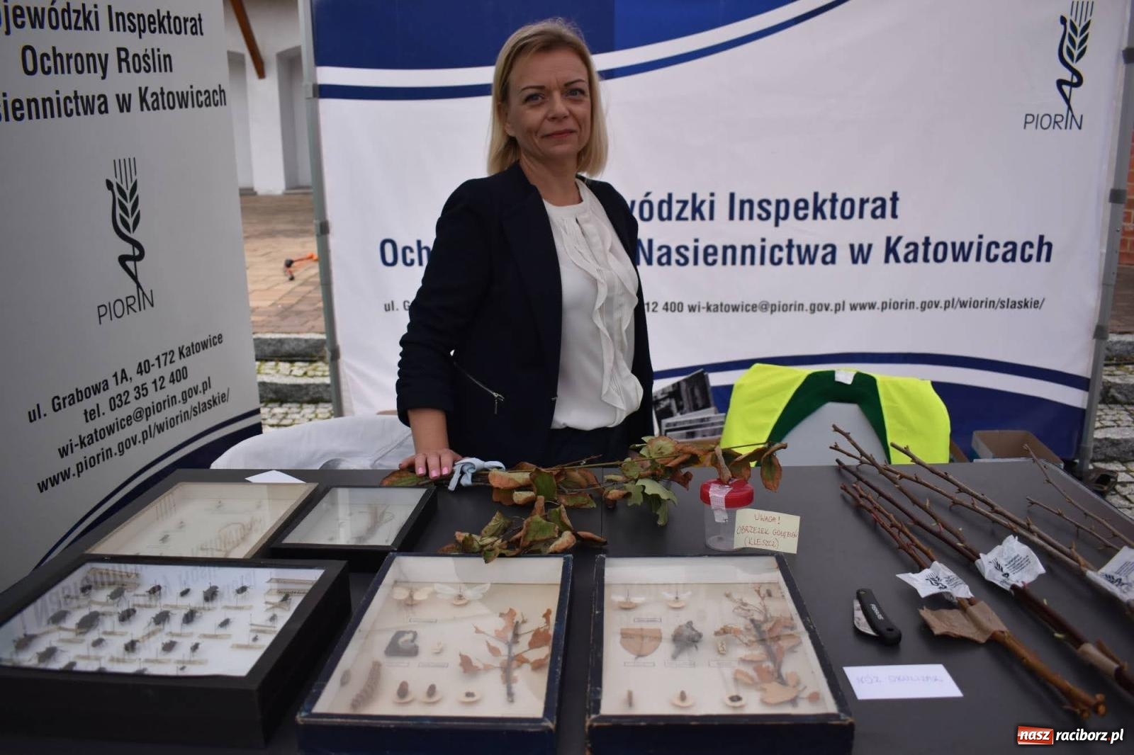 Zdjęcie w galerii na portalu naszraciborz.pl: Bezpieczne Grzybobranie. Nie bądź atrakcyjny dla kleszczy - wystawa na zamku wiadomości z regionu