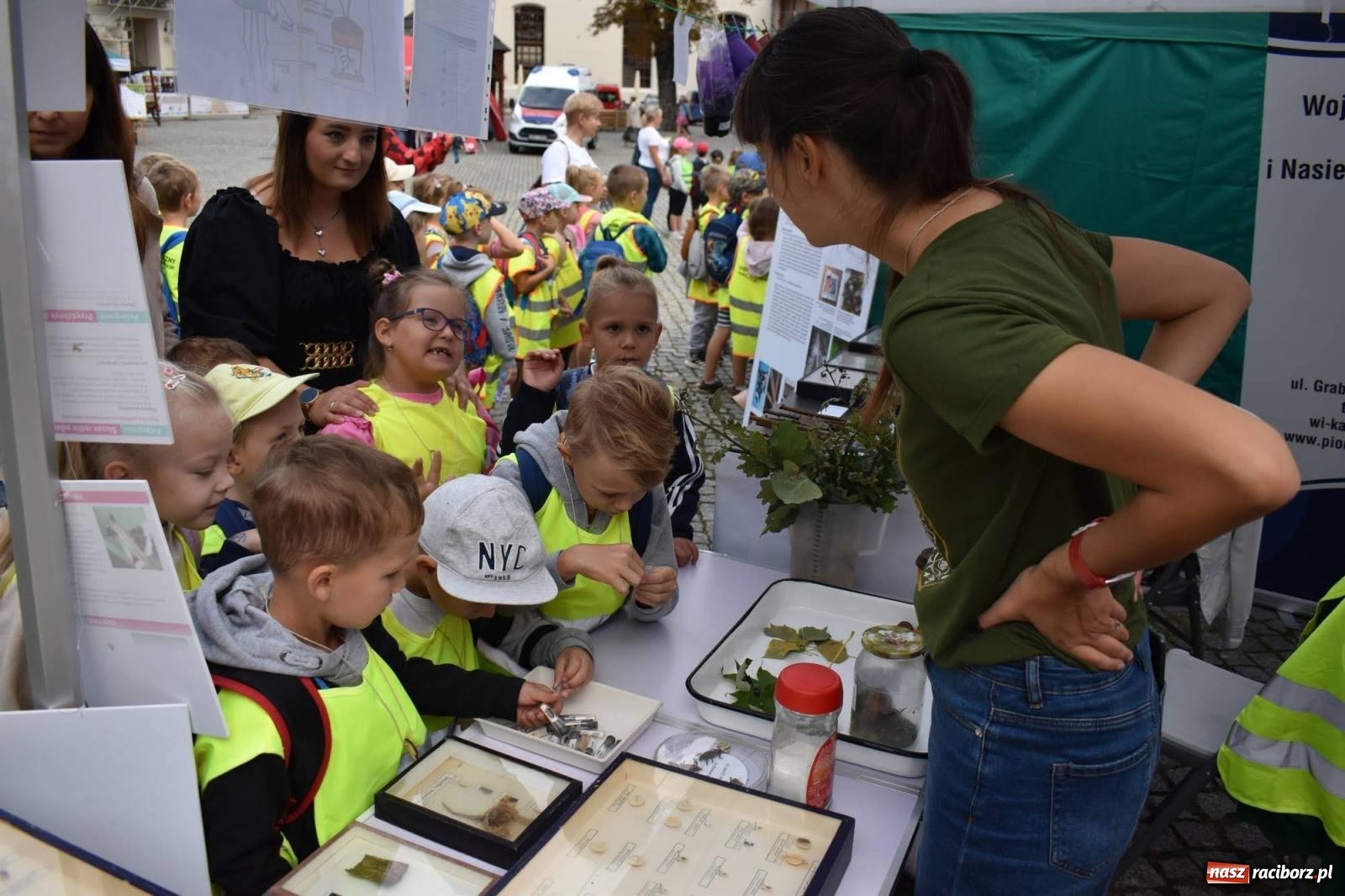 Zdjęcie w galerii na portalu naszraciborz.pl: Bezpieczne Grzybobranie. Nie bądź atrakcyjny dla kleszczy - wystawa na zamku wiadomości z regionu