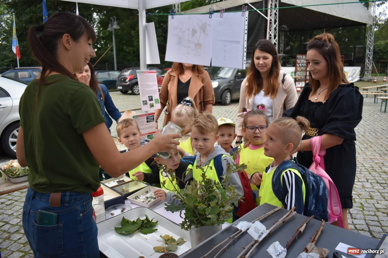 Zdjęcie w galerii na portalu naszraciborz.pl: Bezpieczne Grzybobranie. Nie bądź atrakcyjny dla kleszczy - wystawa na zamku wiadomości z regionu